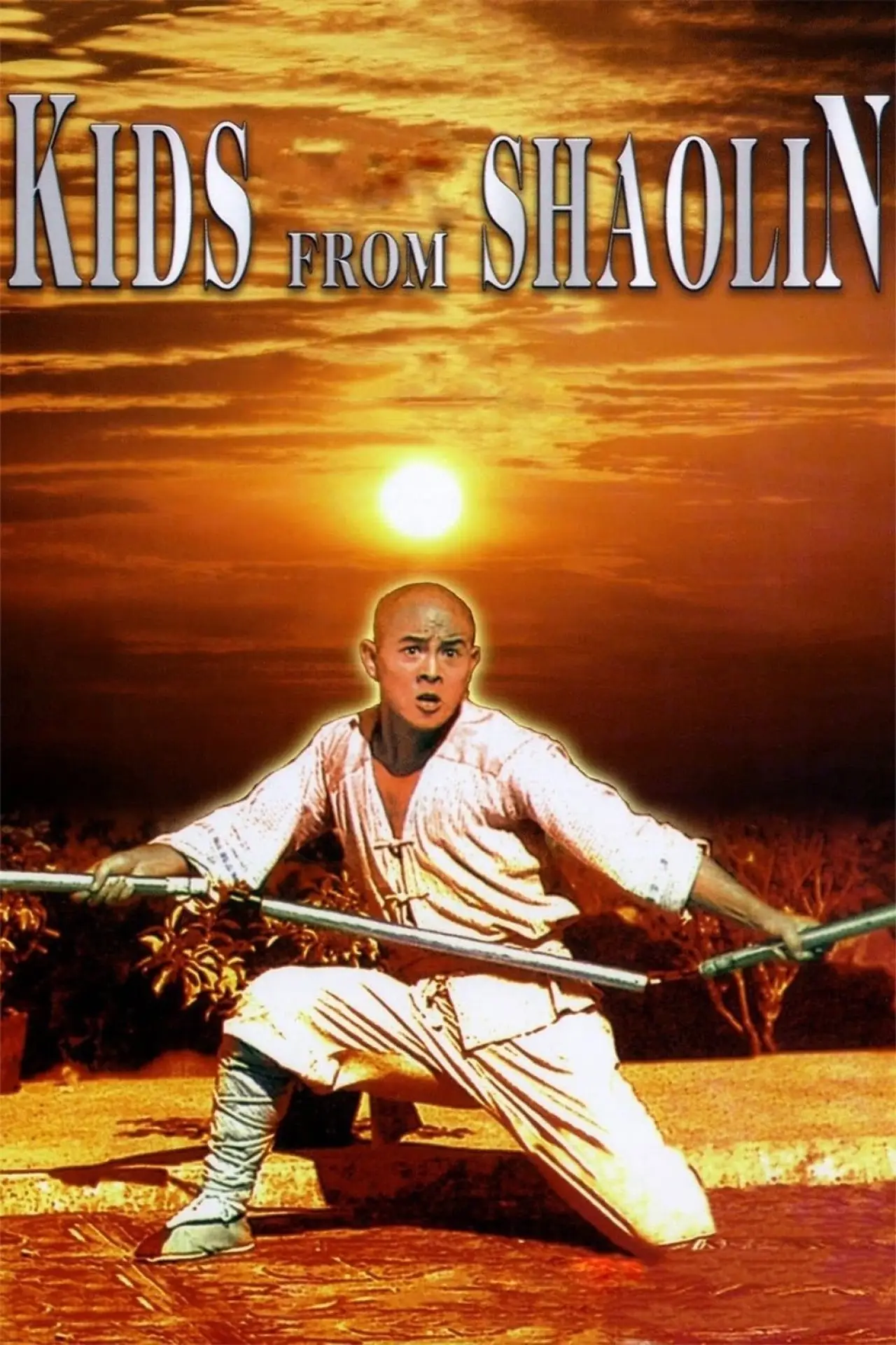Movie poster "Kids from Shaolin"