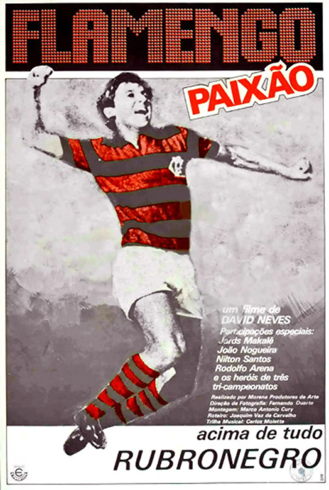 Movie poster "Flamengo Paixão"