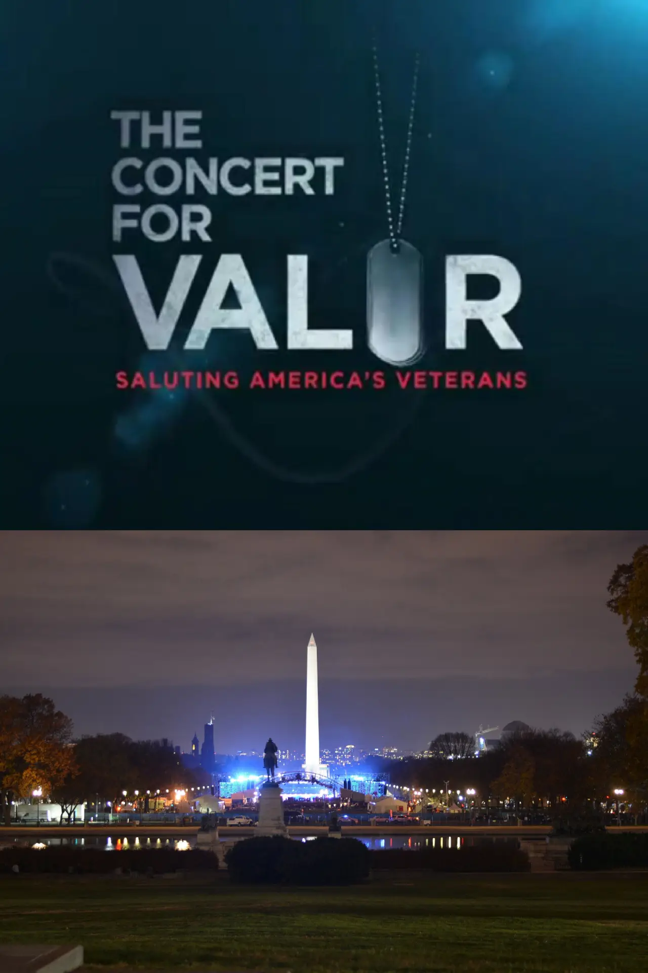 Movie poster "The Concert for Valor"
