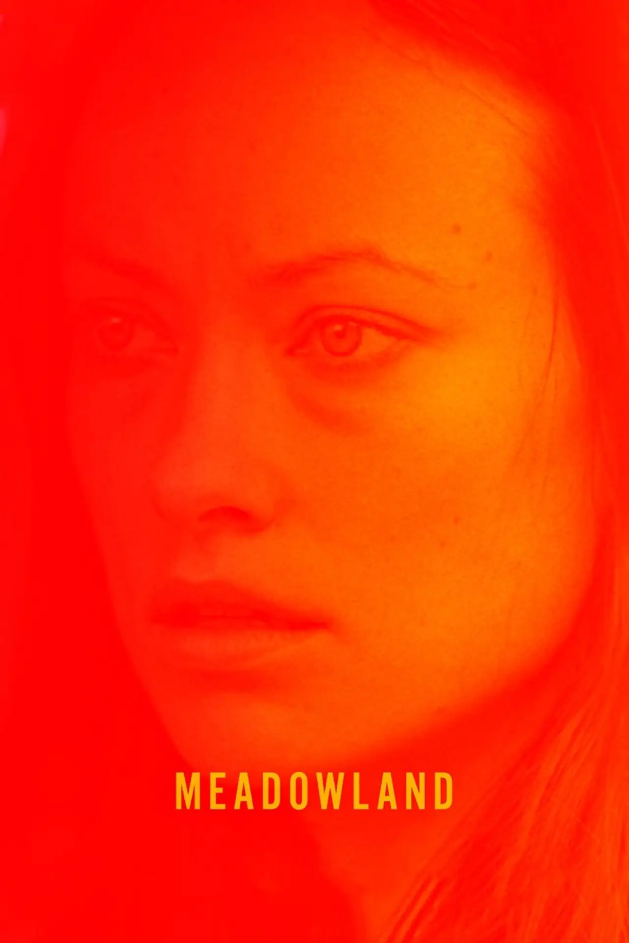 Movie poster "Meadowland"