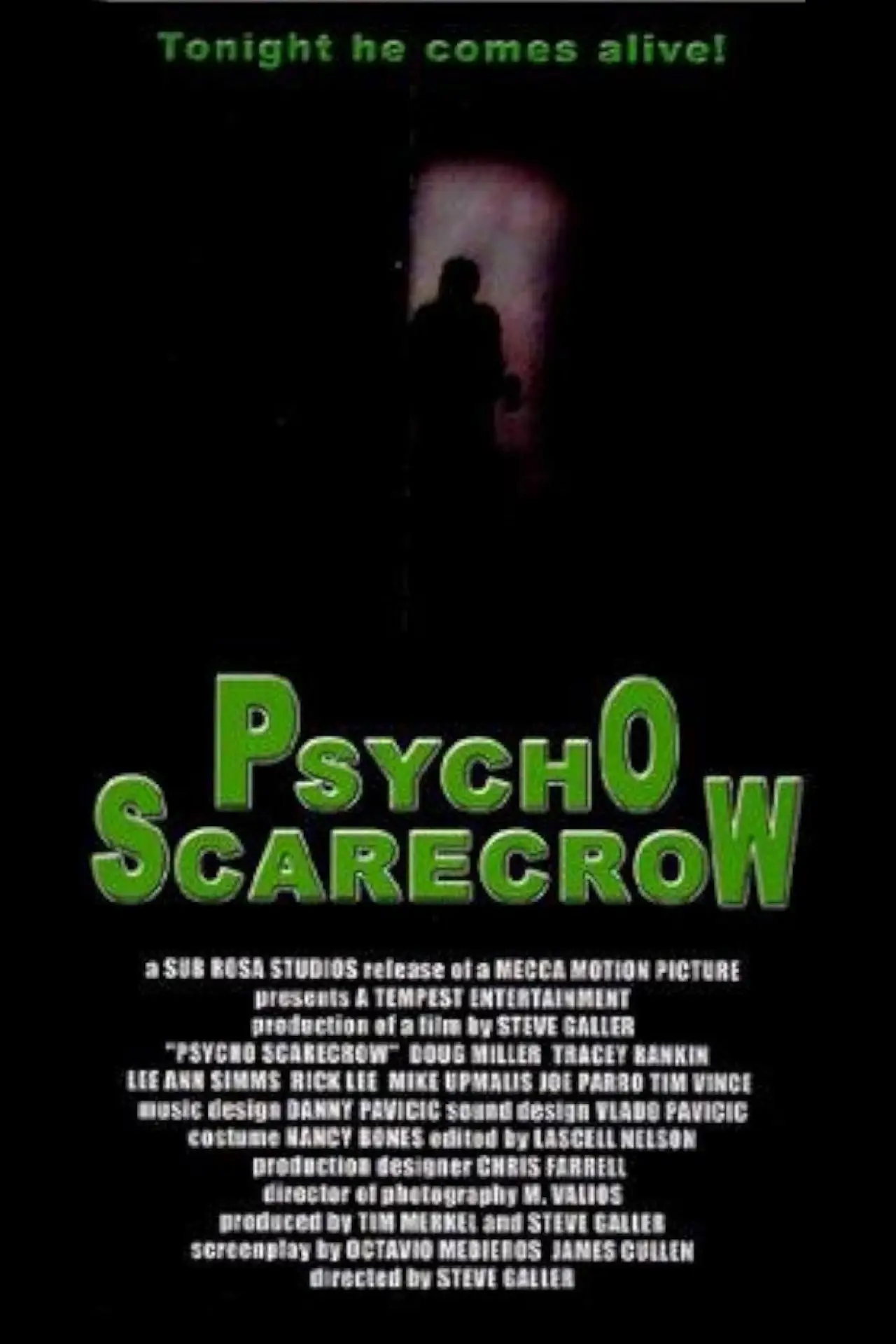 Movie poster "Psycho Scarecrow"