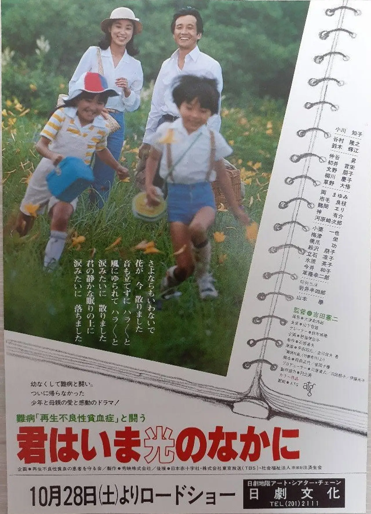 Movie poster "Fighting Against The Incurable Disease Aplastic Anemia – Now You Are In The Light"