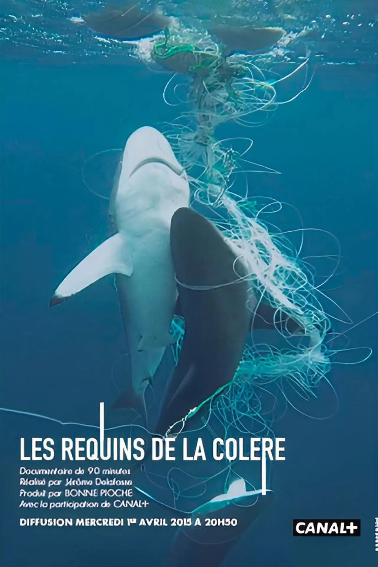 Movie poster "Les Requins de la Colère"