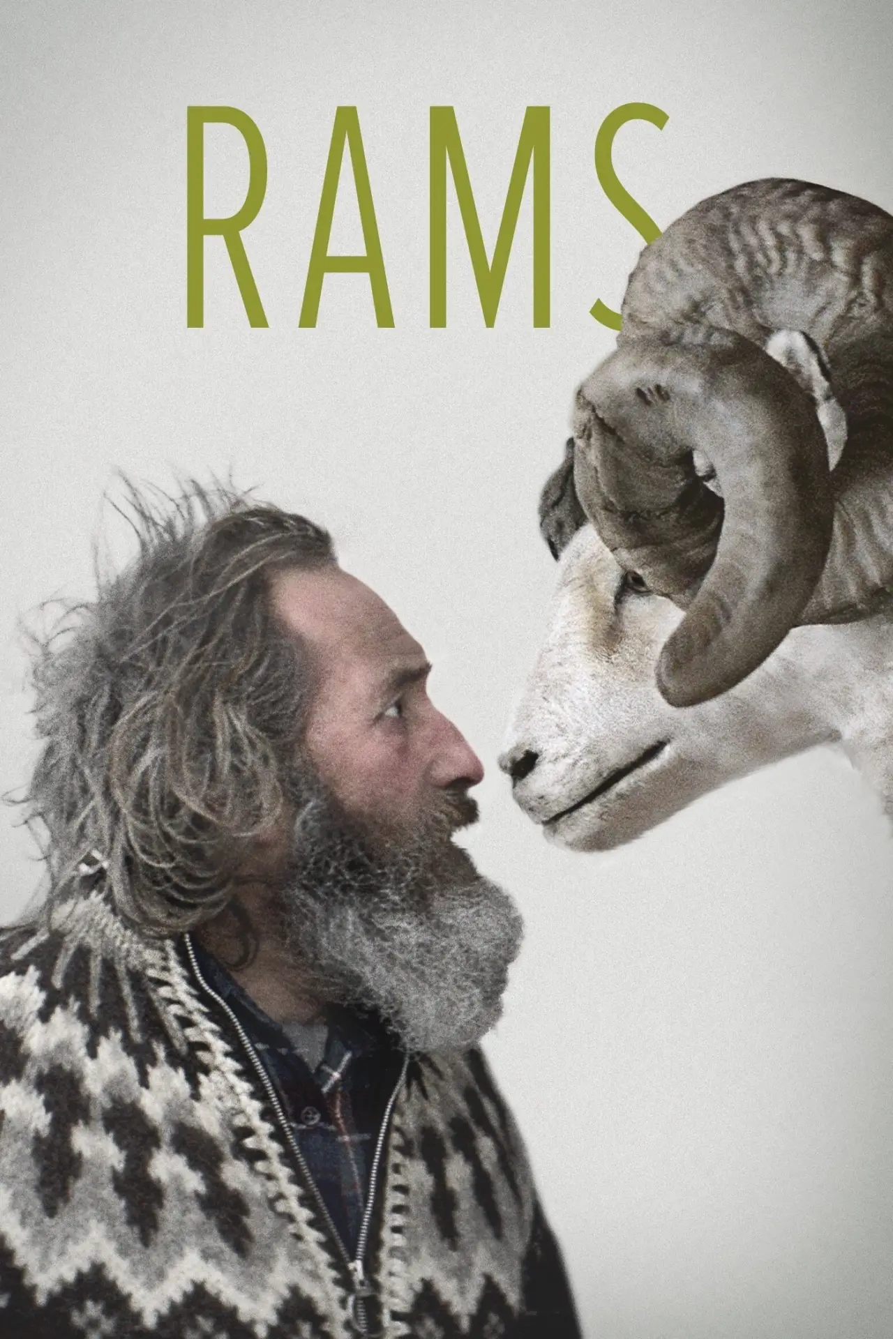 Movie poster "Rams"