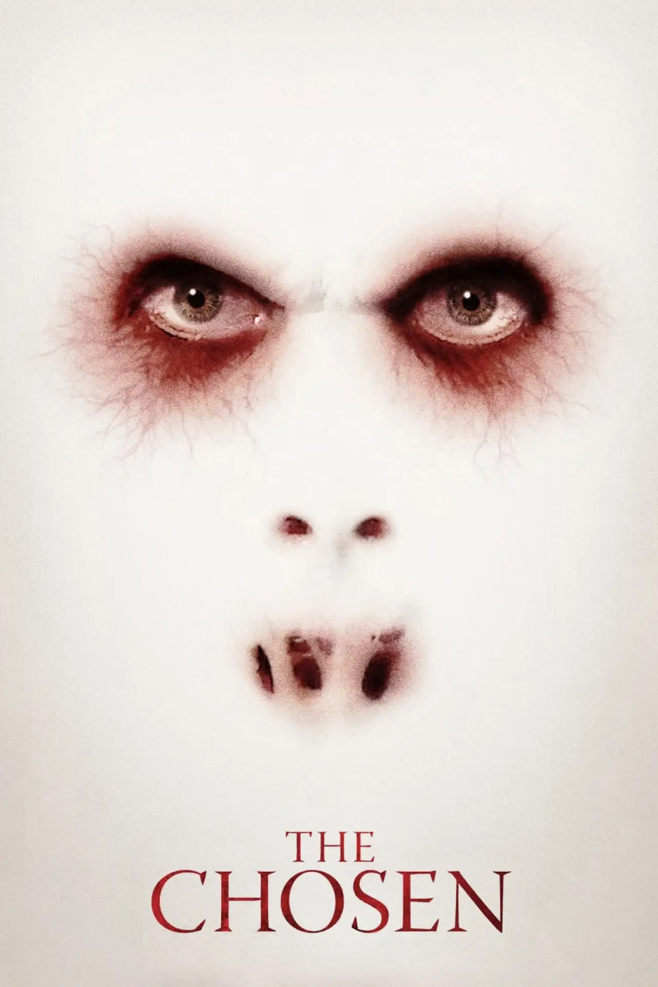 Movie poster "The Chosen"