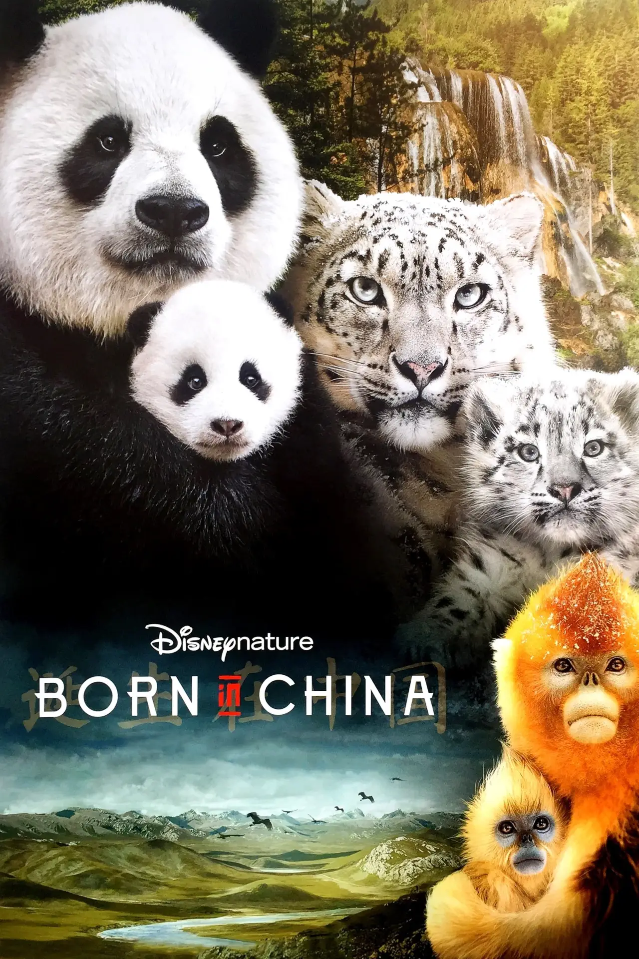Movie poster "Born in China"