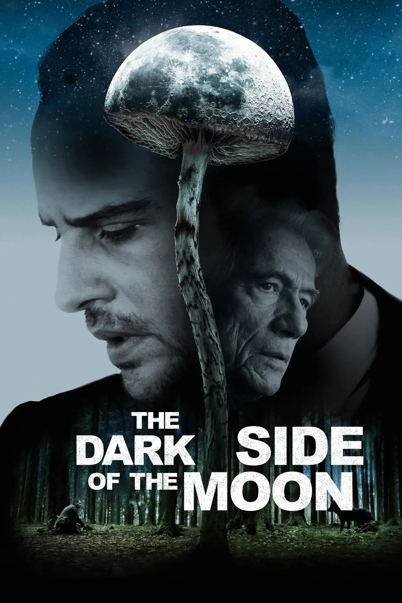 Movie poster "The Dark Side of the Moon"