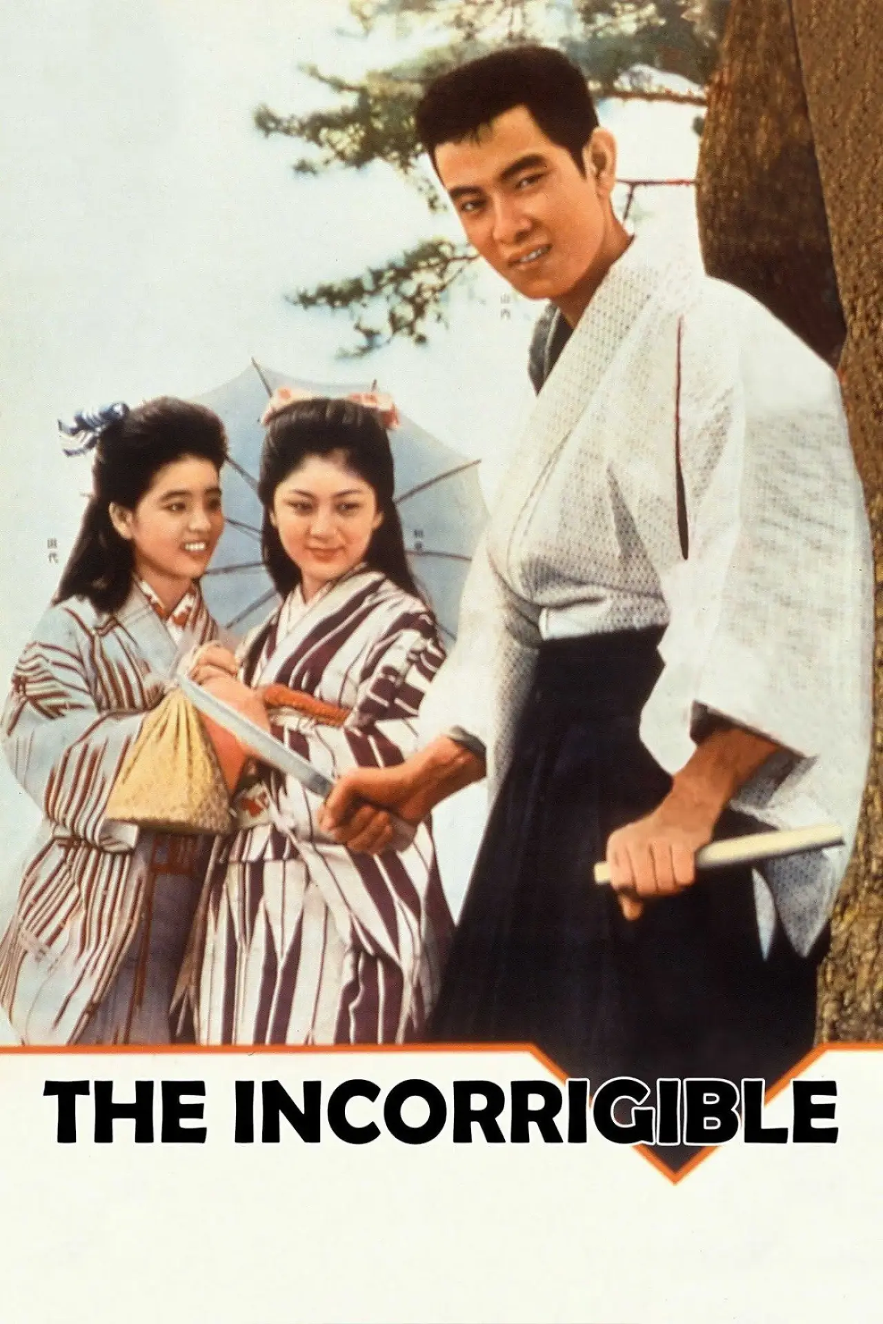 Movie poster "The Incorrigible"