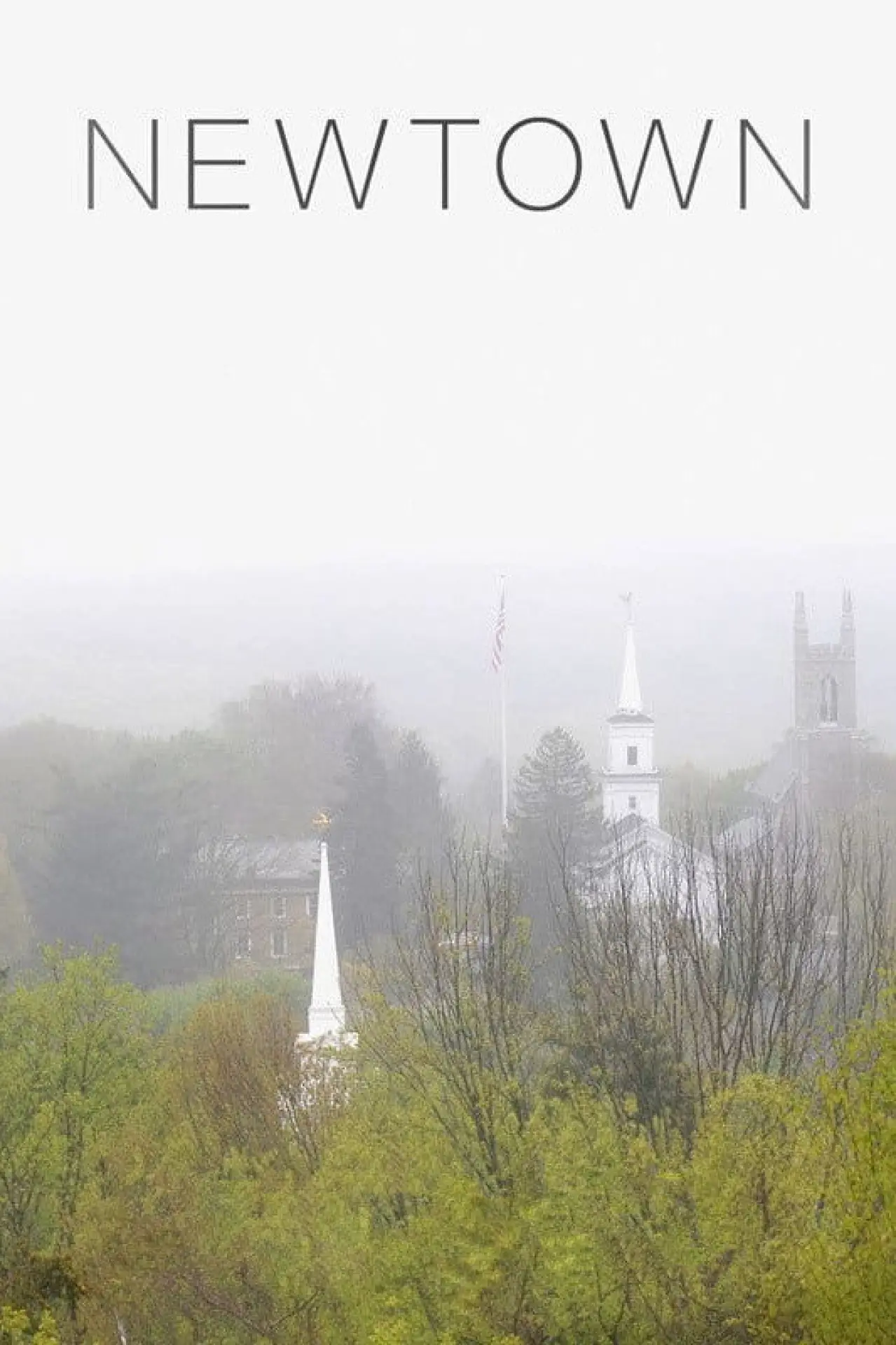 Movie poster "Newtown"