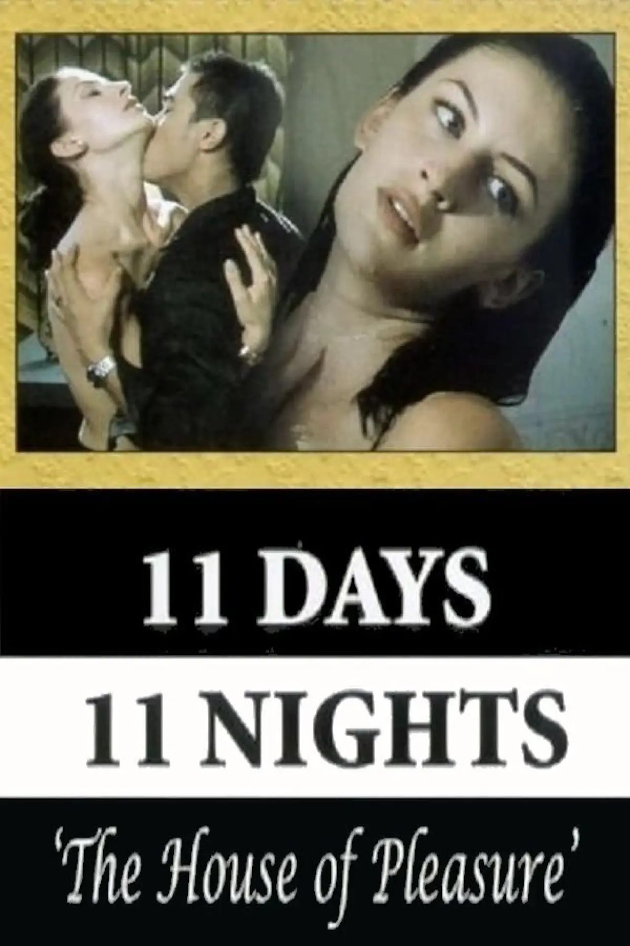Movie poster "The House of Pleasure"