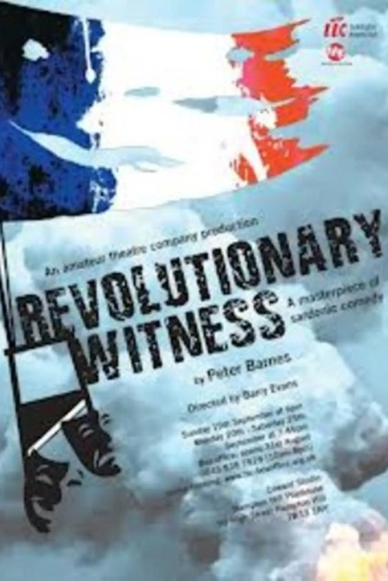 Movie poster "Revolutionary Witness"