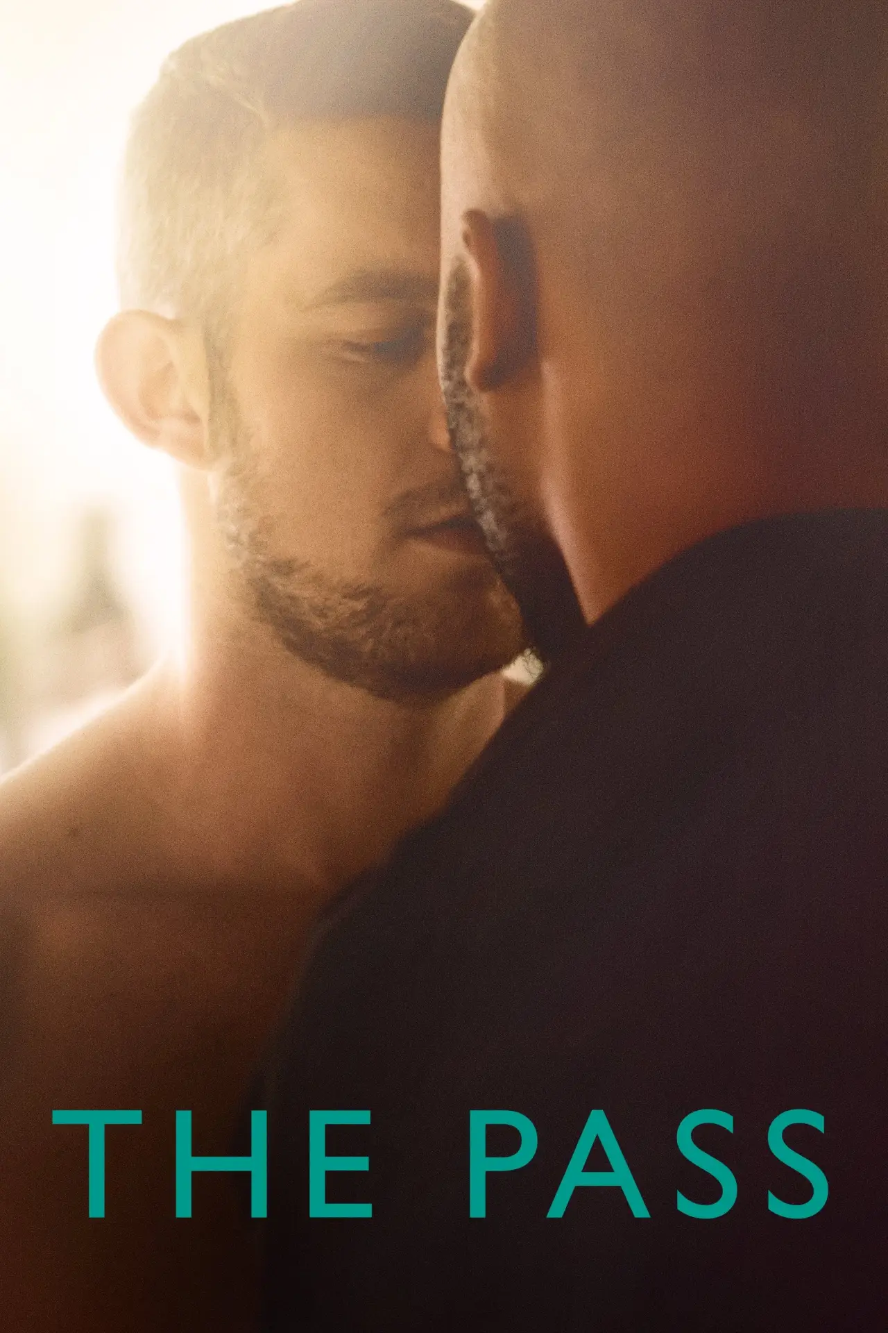 Movie poster "The Pass"