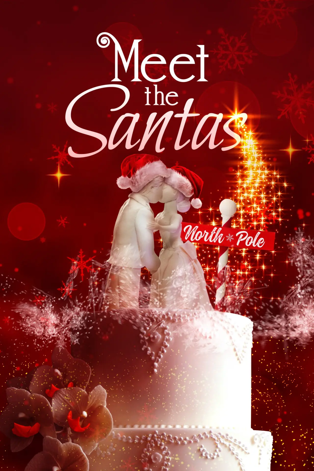 Movie poster "Meet The Santas"