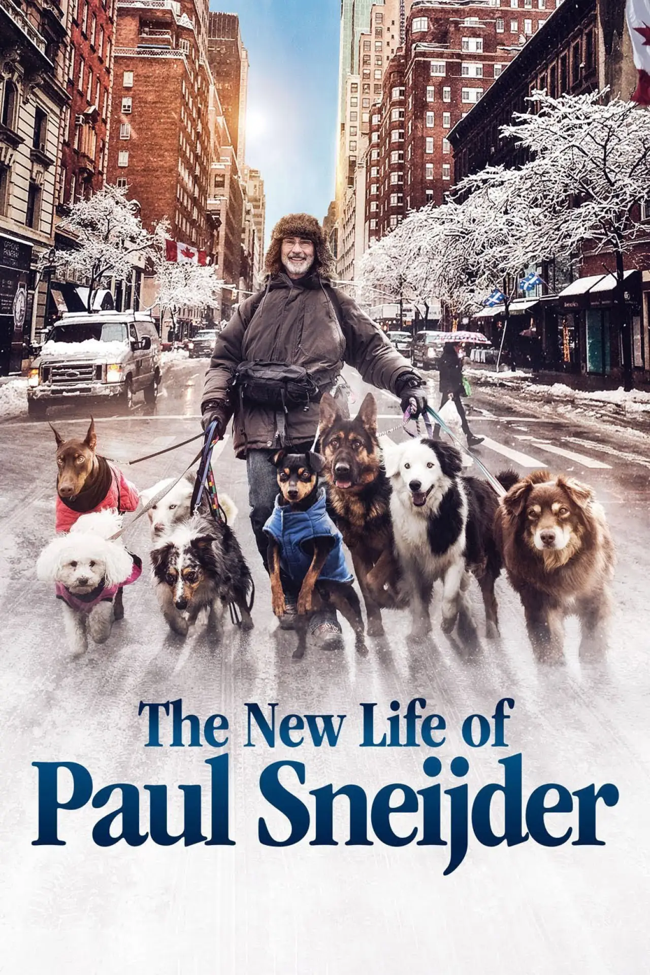 Movie poster "The New Life of Paul Sneijder"