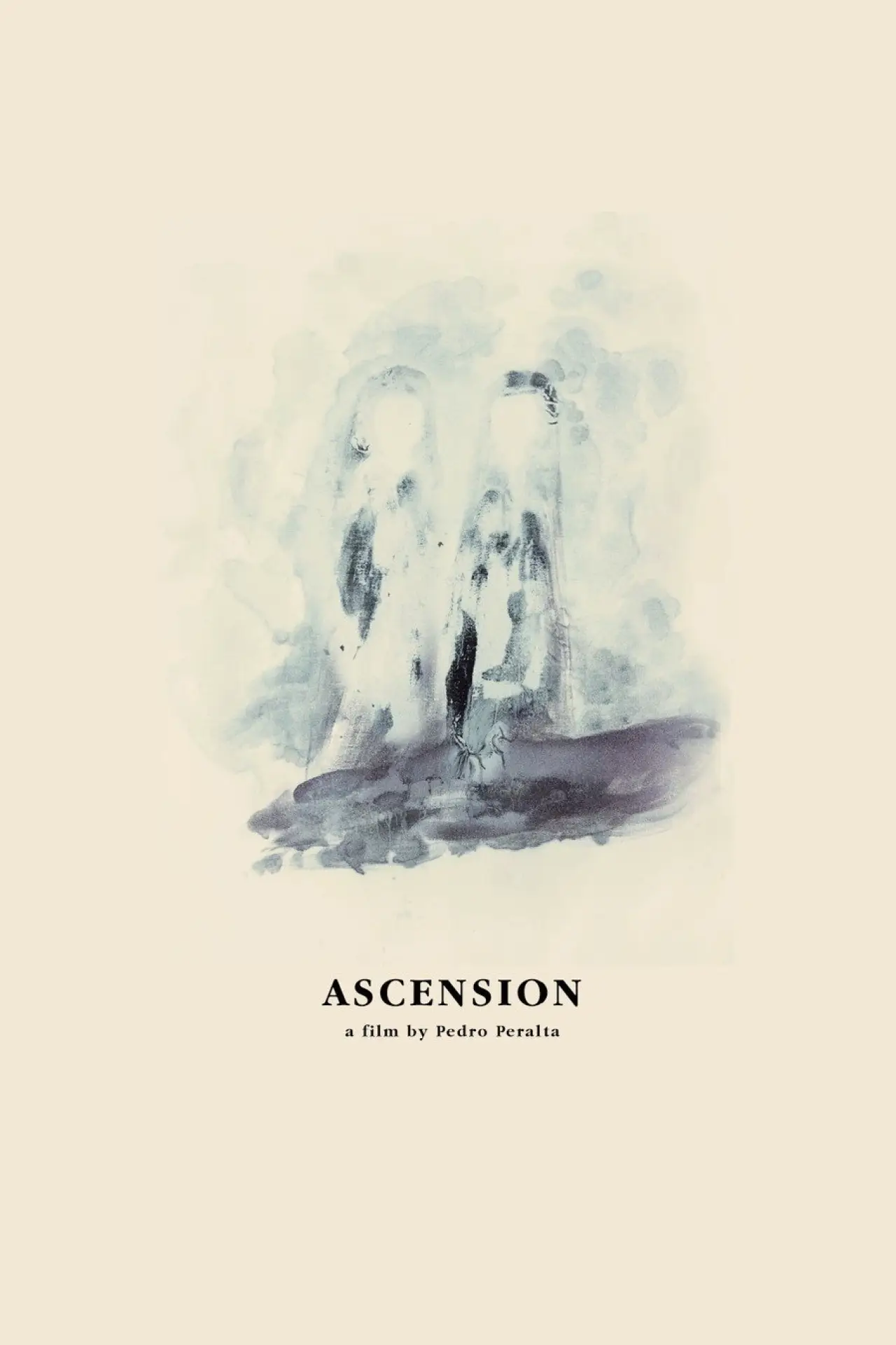 Movie poster "Ascension"