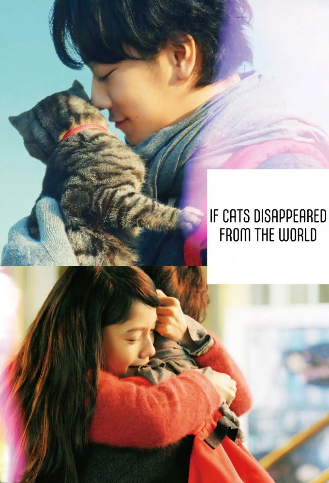 Movie poster "If Cats Disappeared from the World"
