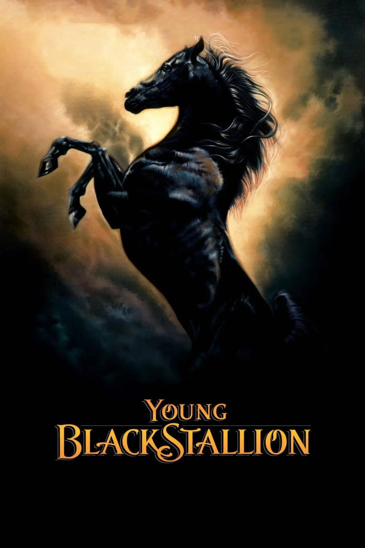 Movie poster "Young Black Stallion"