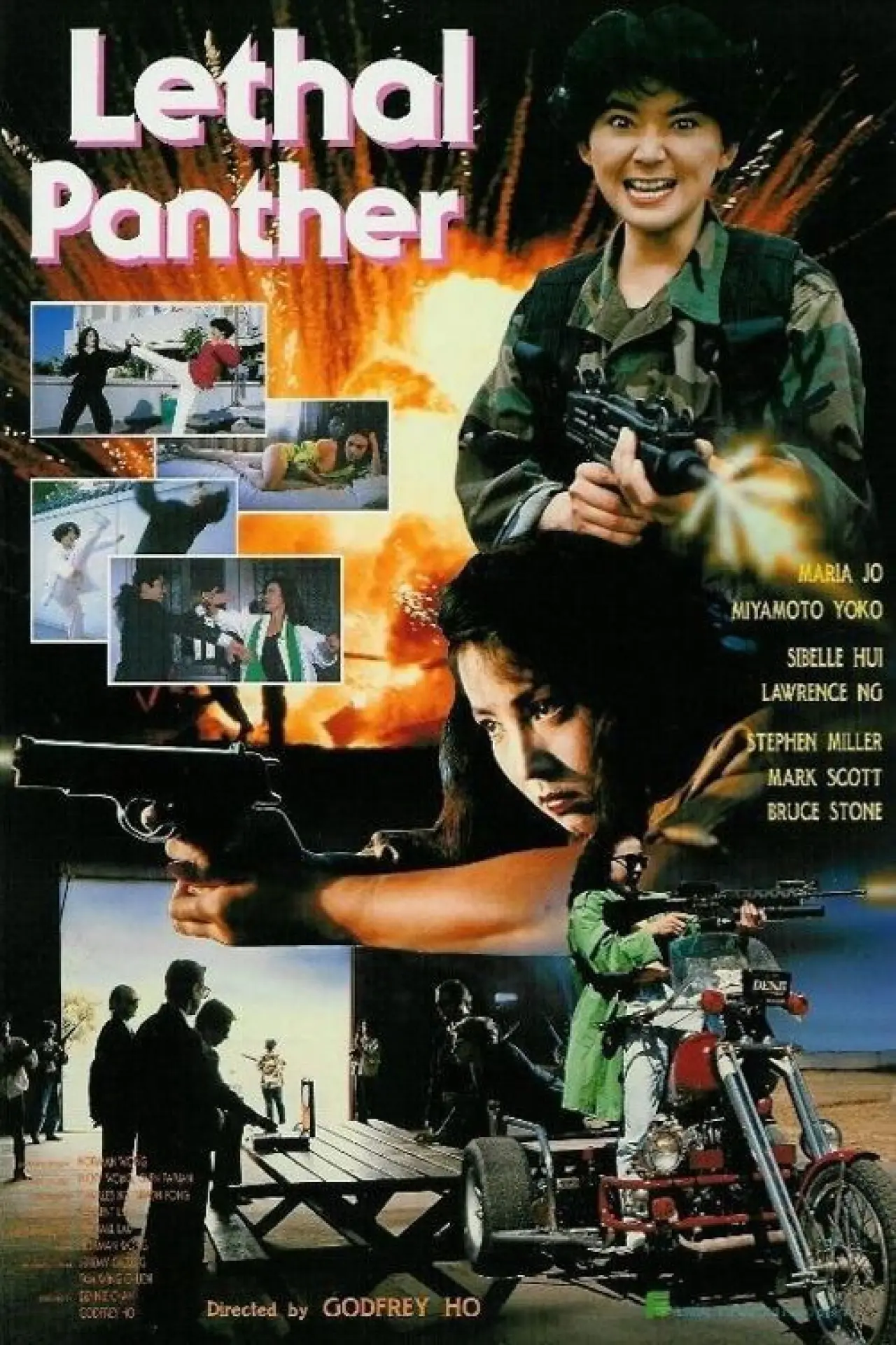 Movie poster "Lethal Panther"