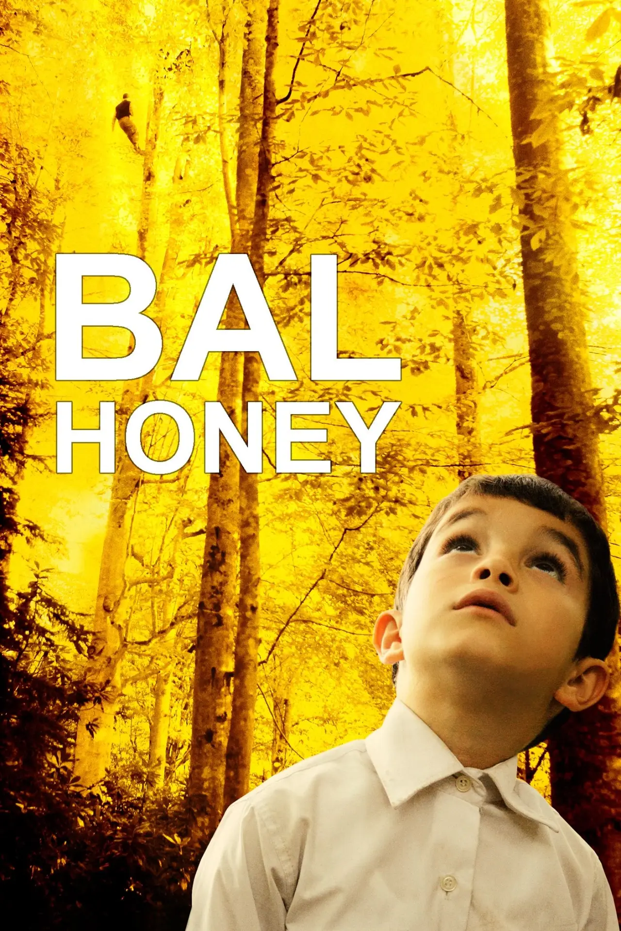 Movie poster "Honey"