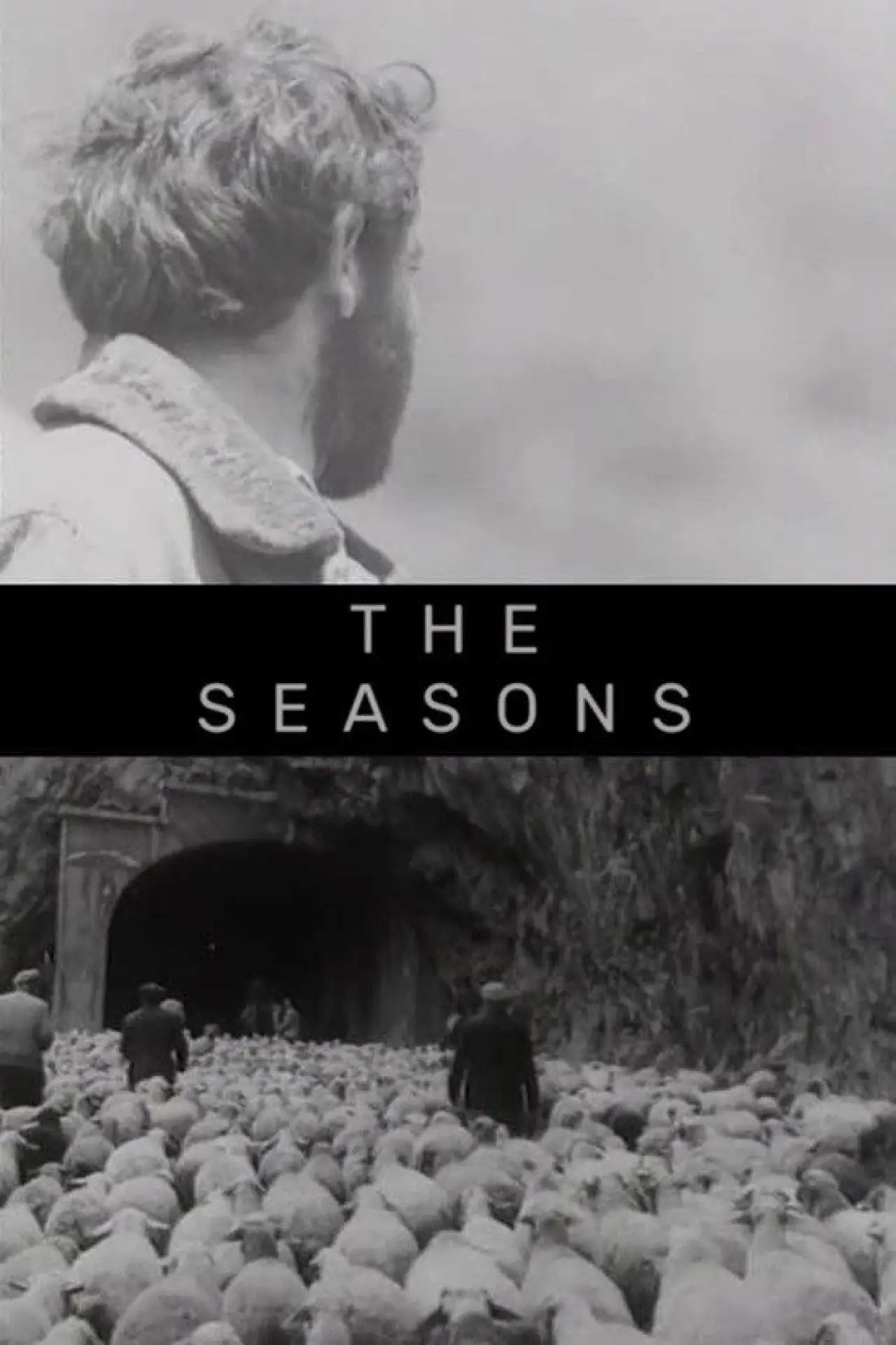 Movie poster "The Seasons"