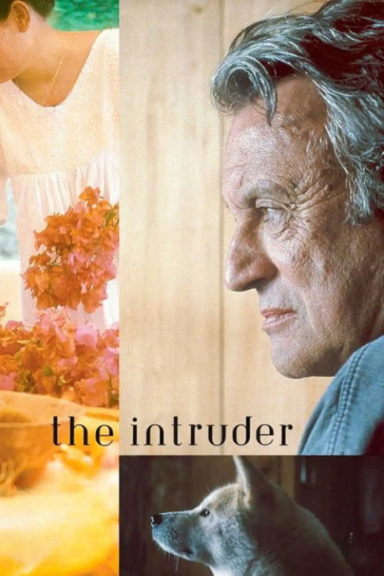 Movie poster "The Intruder"
