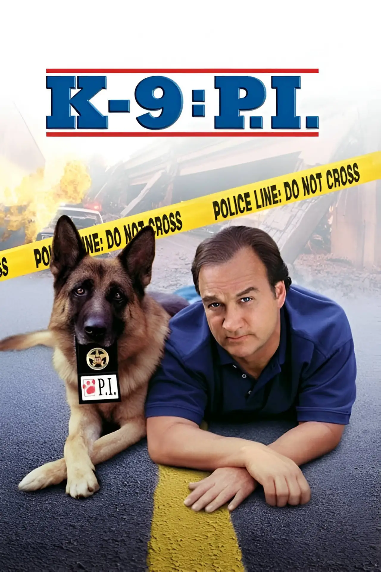 Movie poster "K-9: P.I."