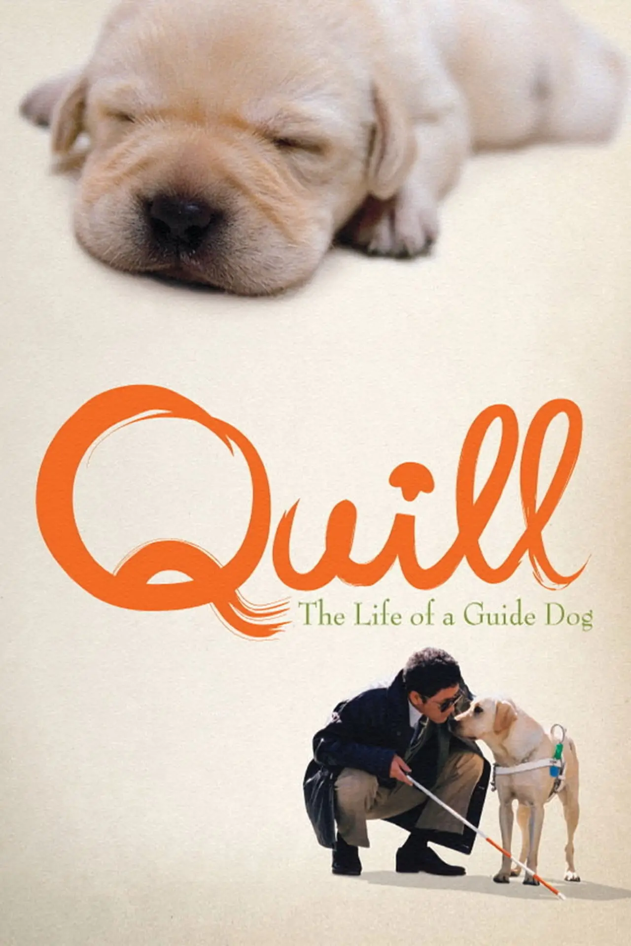 Movie poster "Quill: The Life of a Guide Dog"