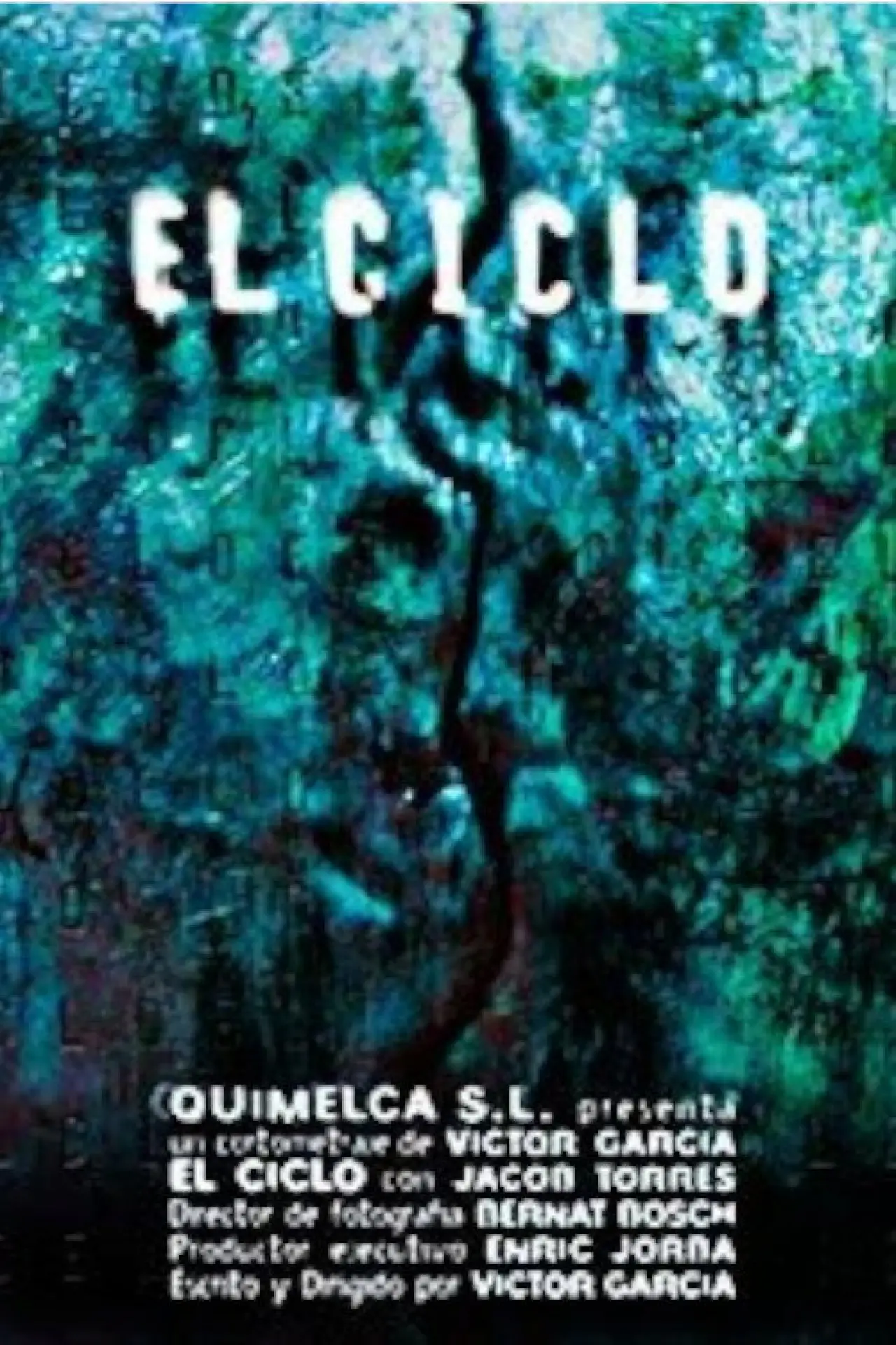 Movie poster "The Cycle"