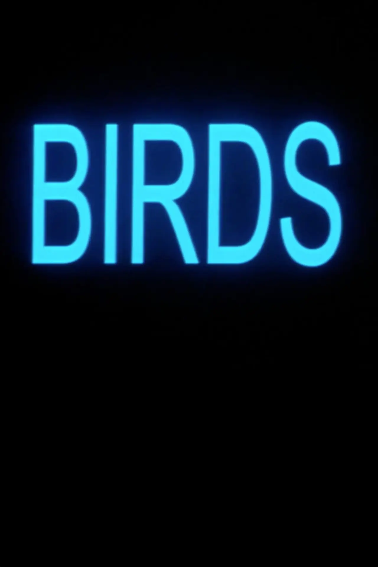 Movie poster "Birds"