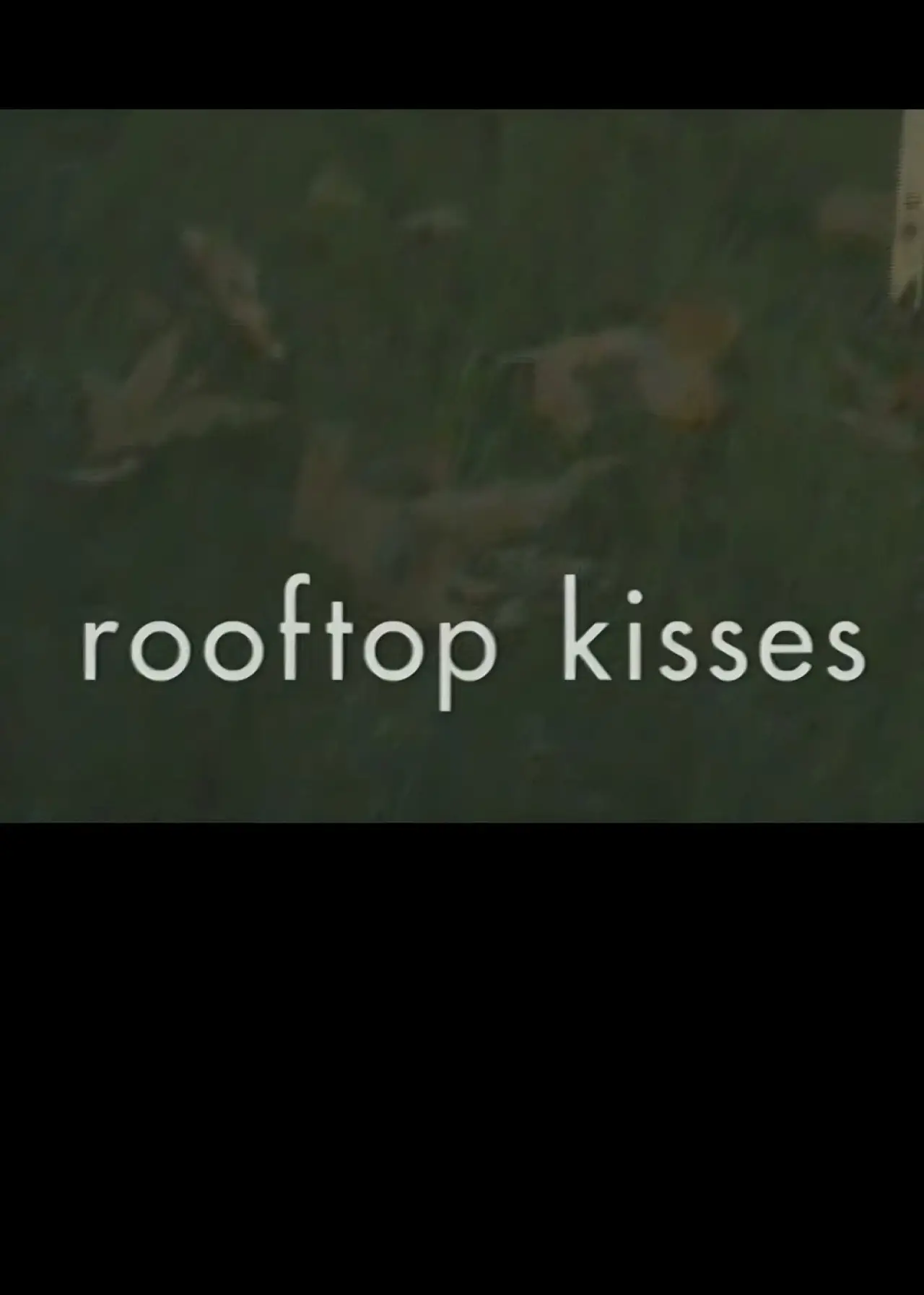 Movie poster "Rooftop Kisses"