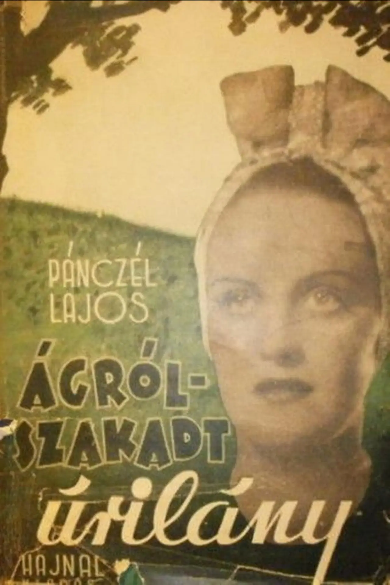 Movie poster "Lady Over the Abyss"