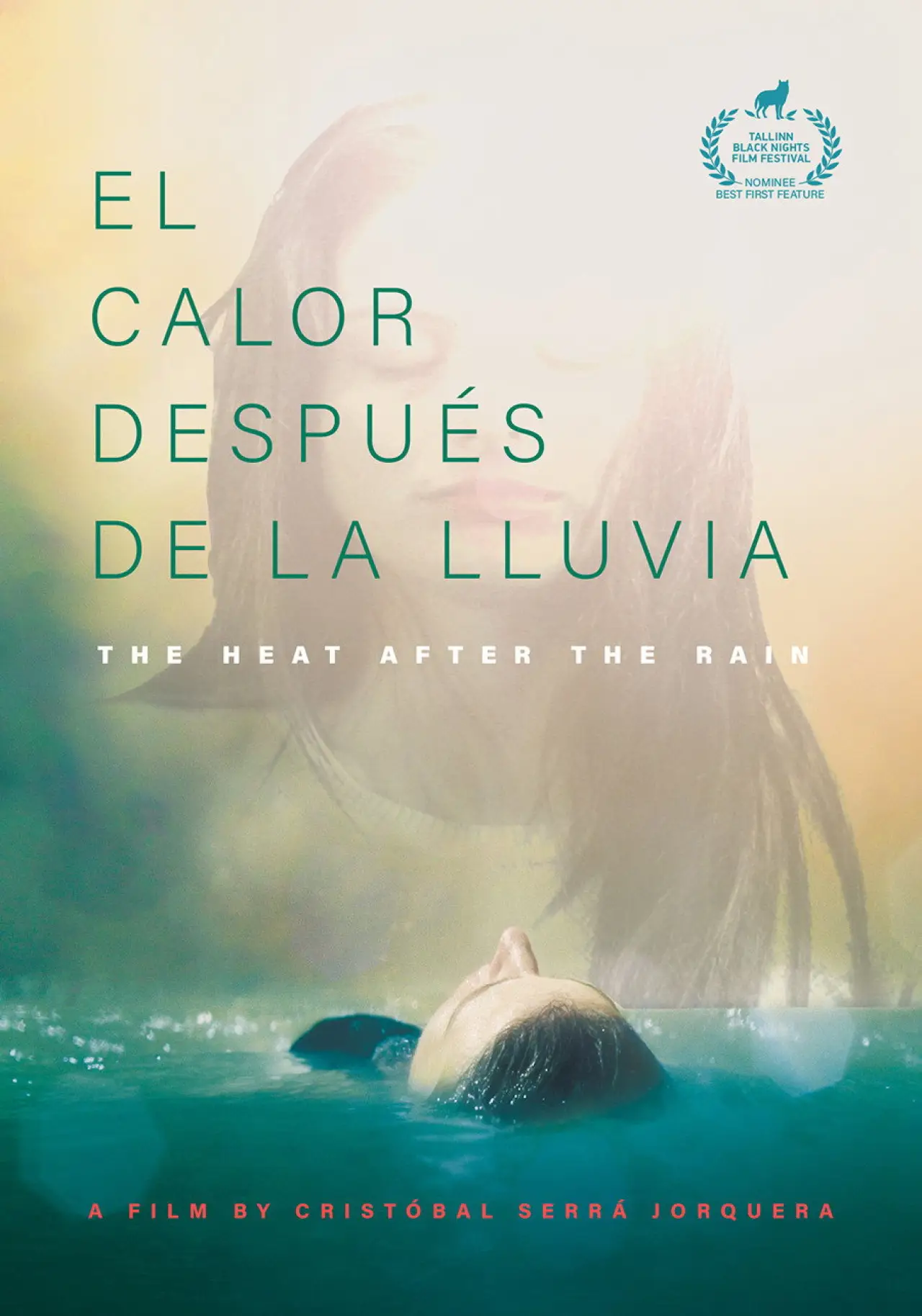 Movie poster "The Heat After the Rain"