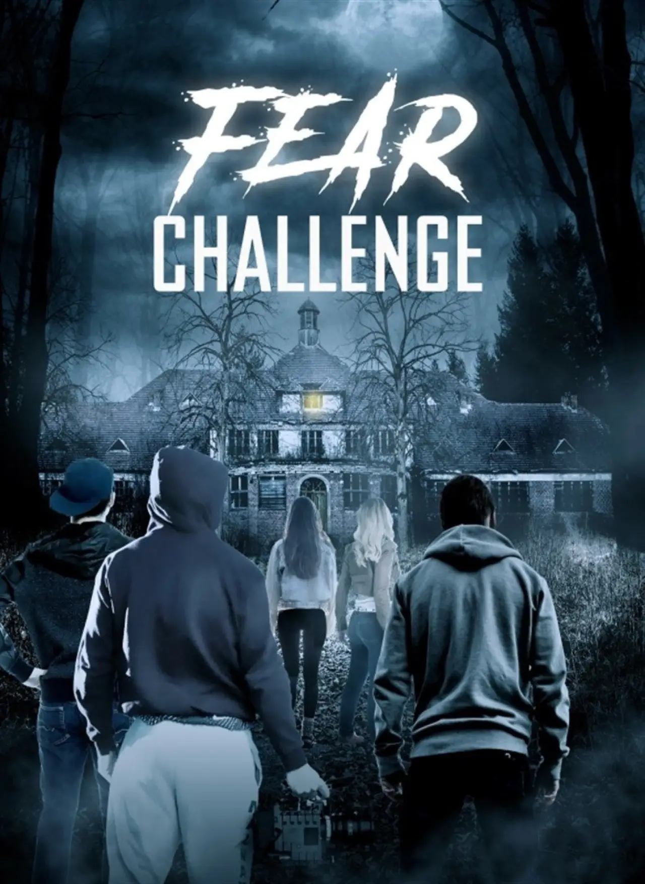 Movie poster "Haunted Hospital: Heilstatten"