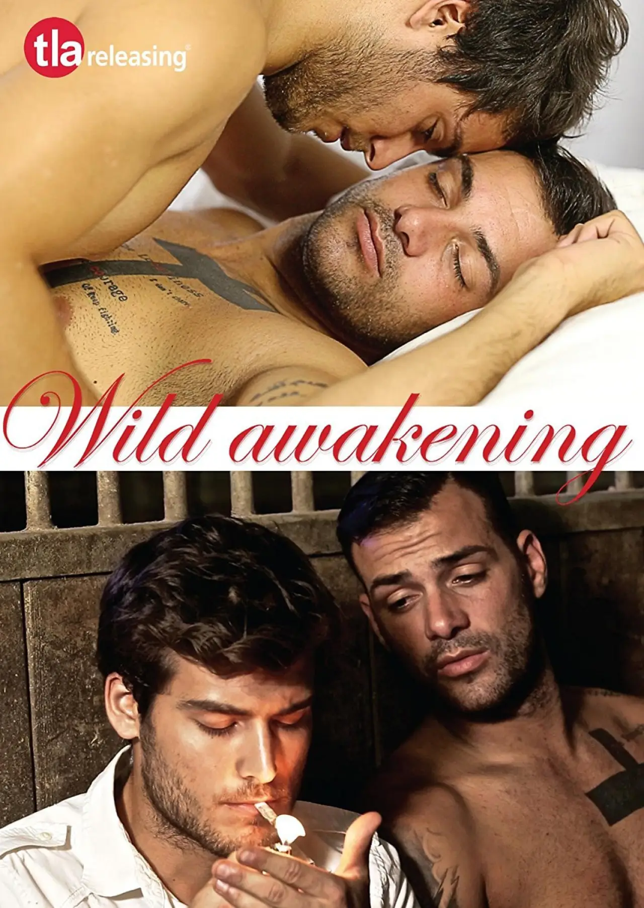 Movie poster "Wild Awakening"