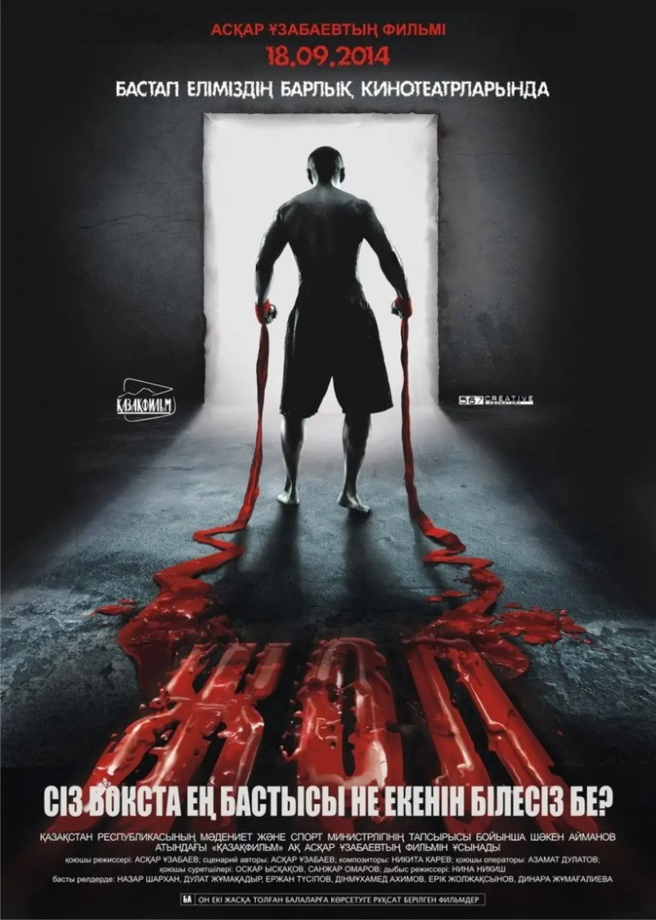 Movie poster "The Way"