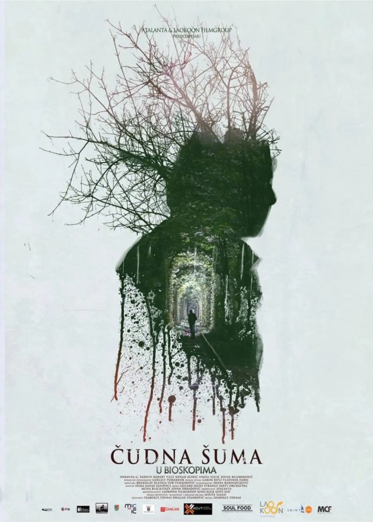 Movie poster "Strange Forest"