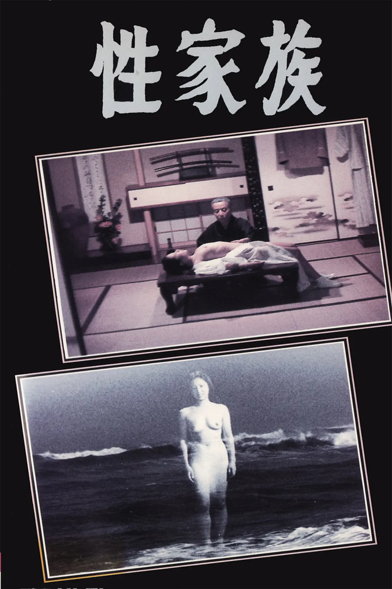 Movie poster "Sex Family"