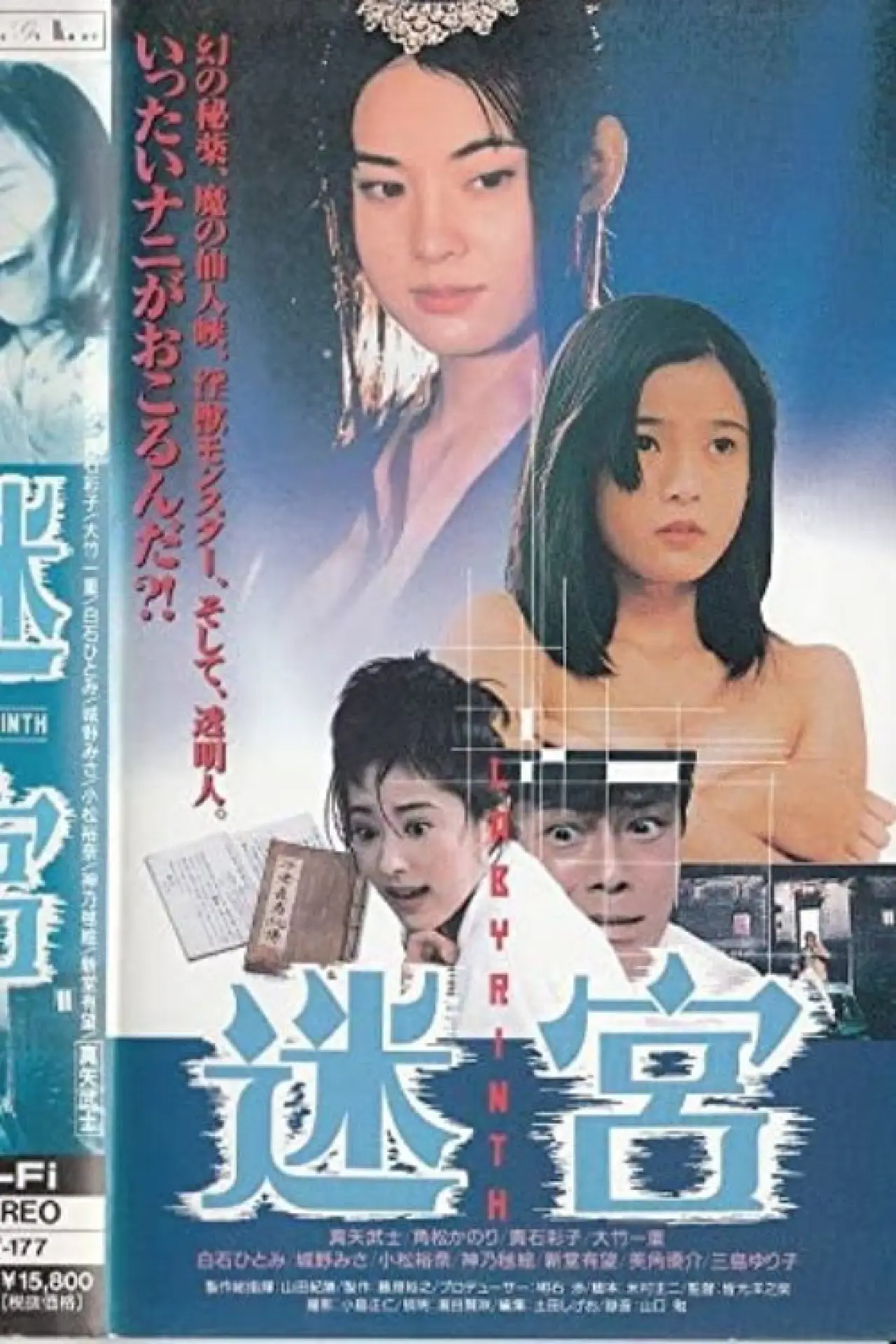Movie poster "Labyrinth"