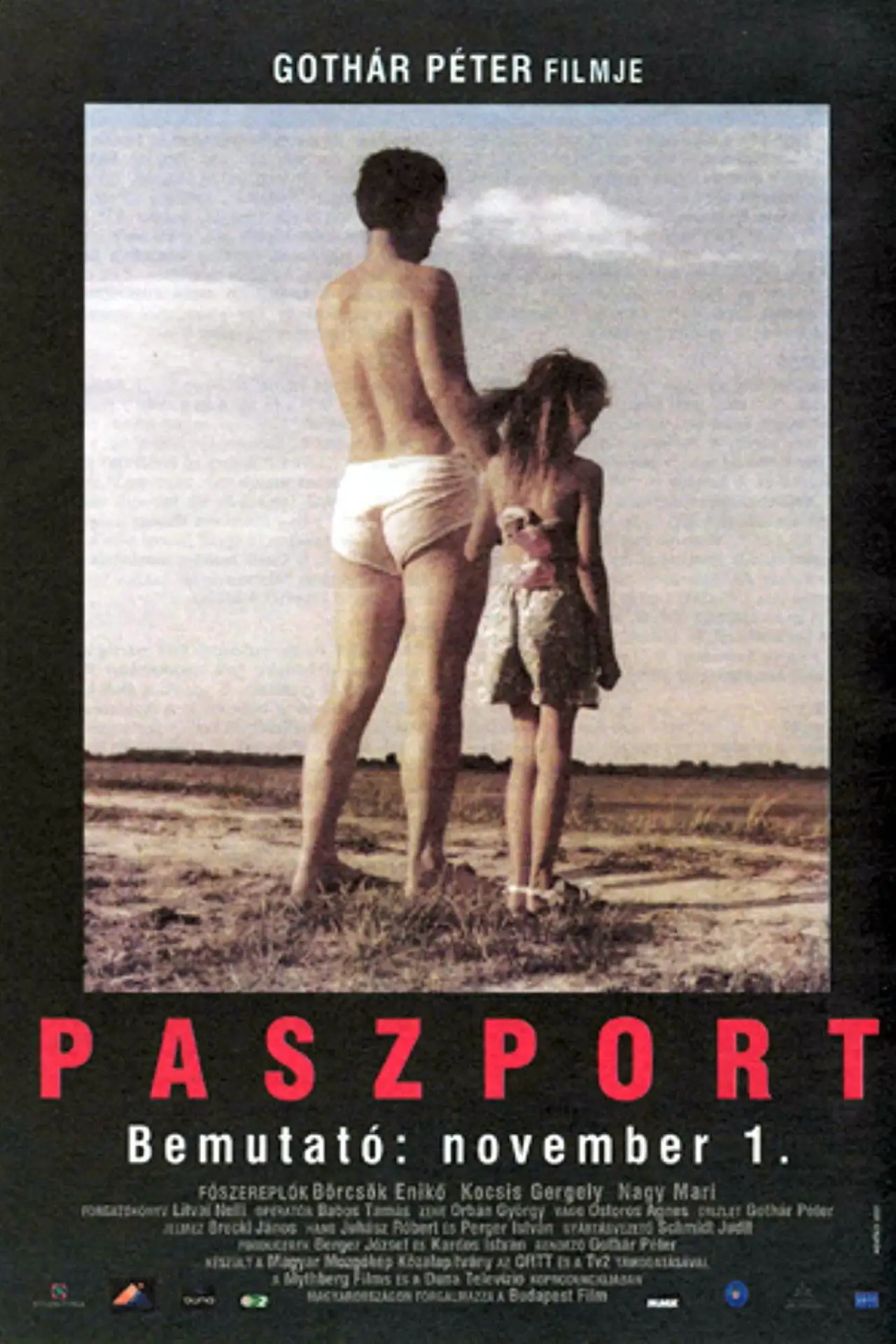 Movie poster "Passport"