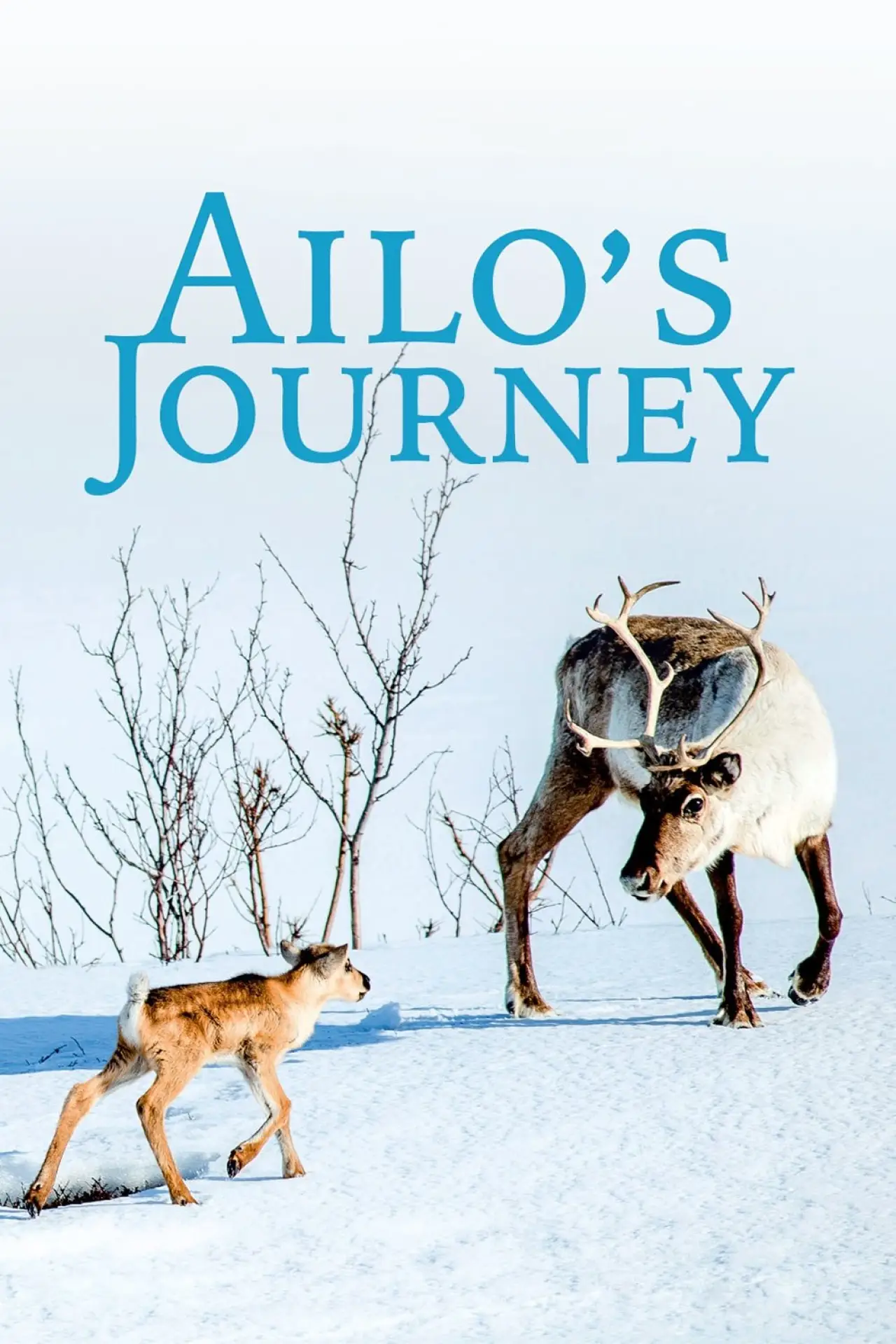 Movie poster "A Reindeer