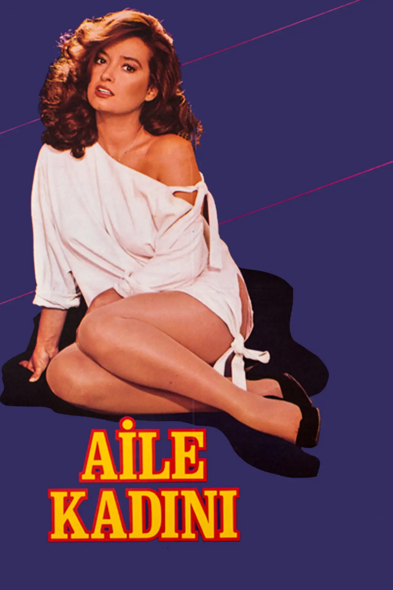 Movie poster "Aile Kadını"