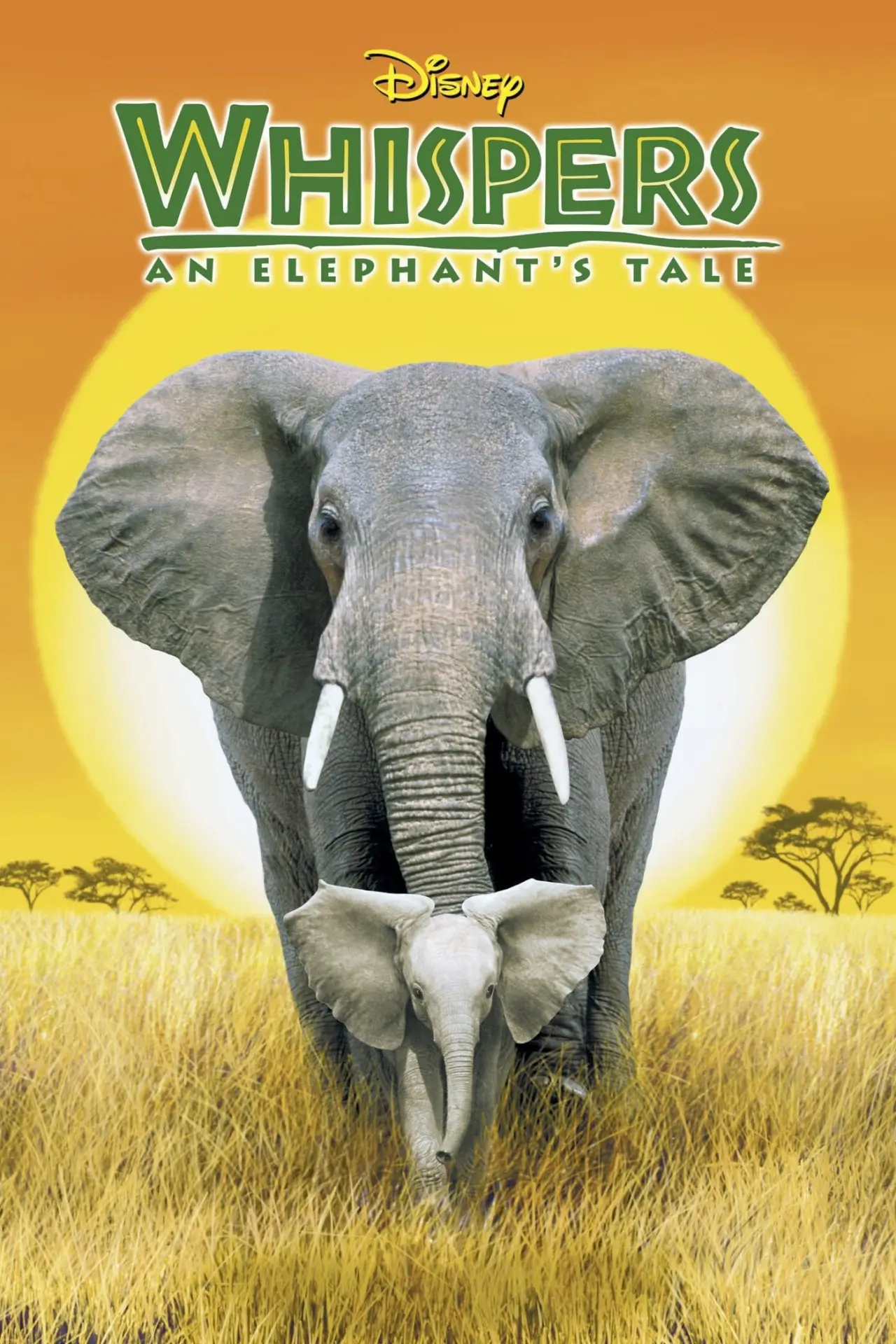 Movie poster "Whispers: An Elephant