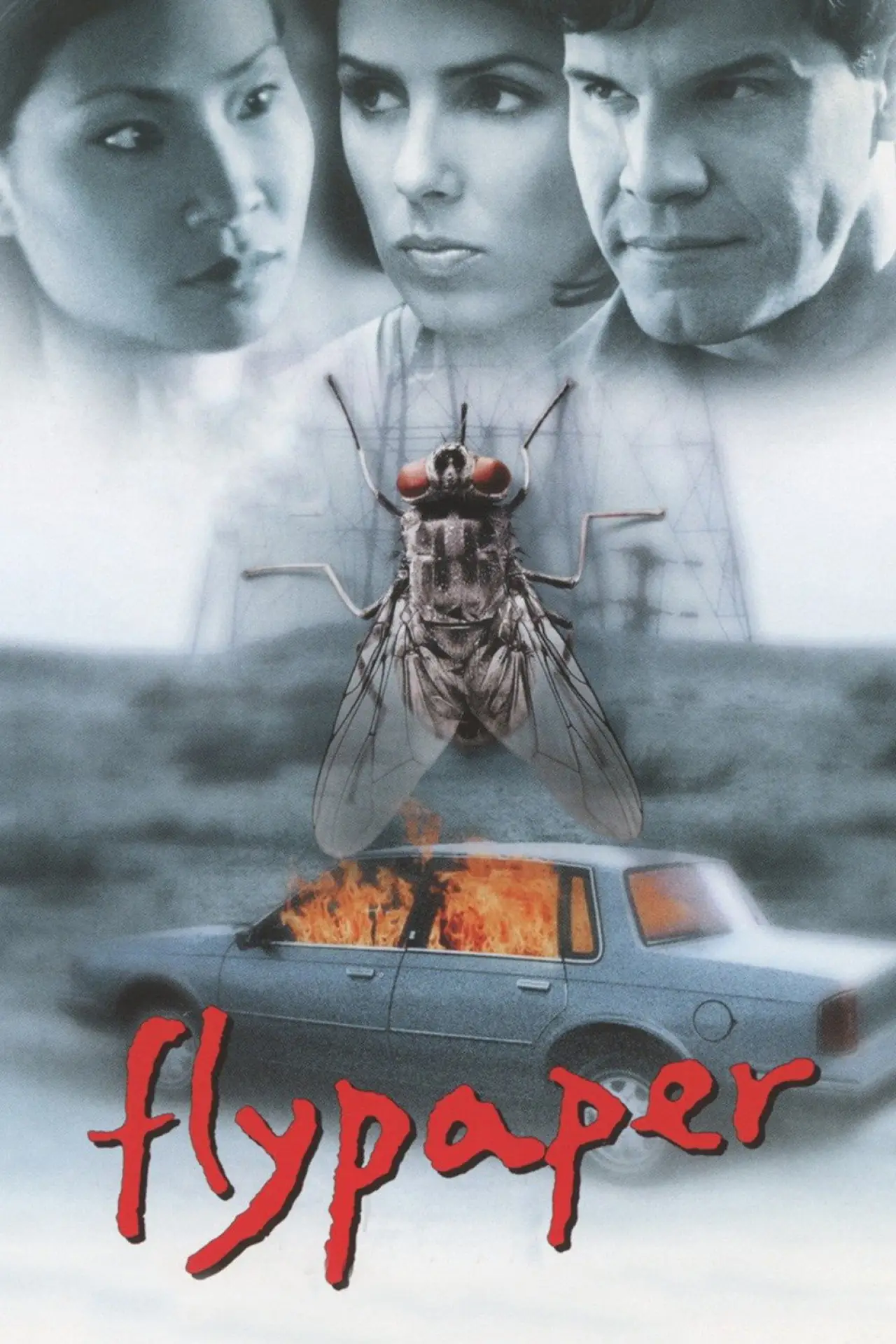 Movie poster "Flypaper"