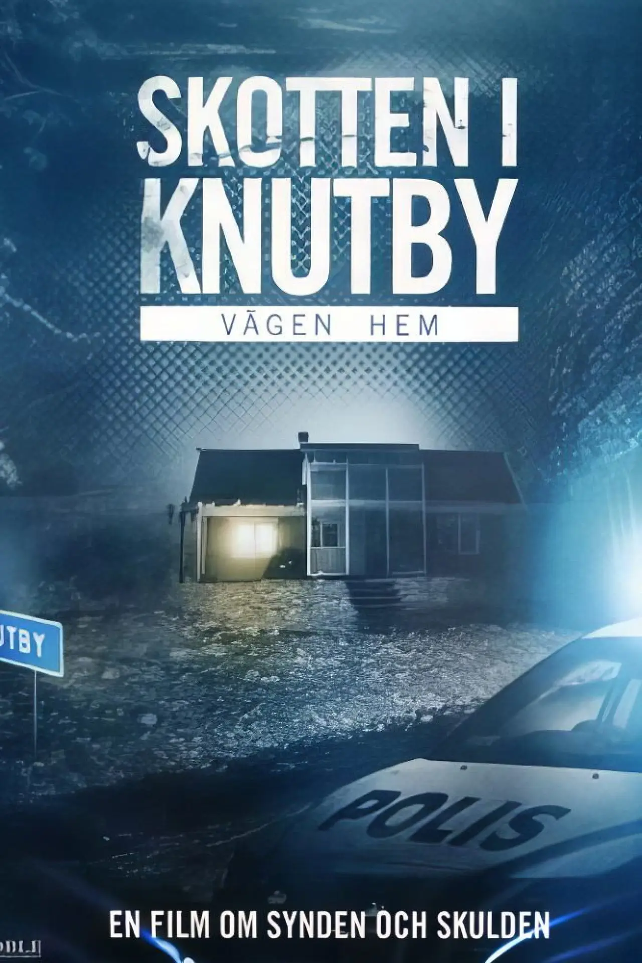 Movie poster "Vägen hem"