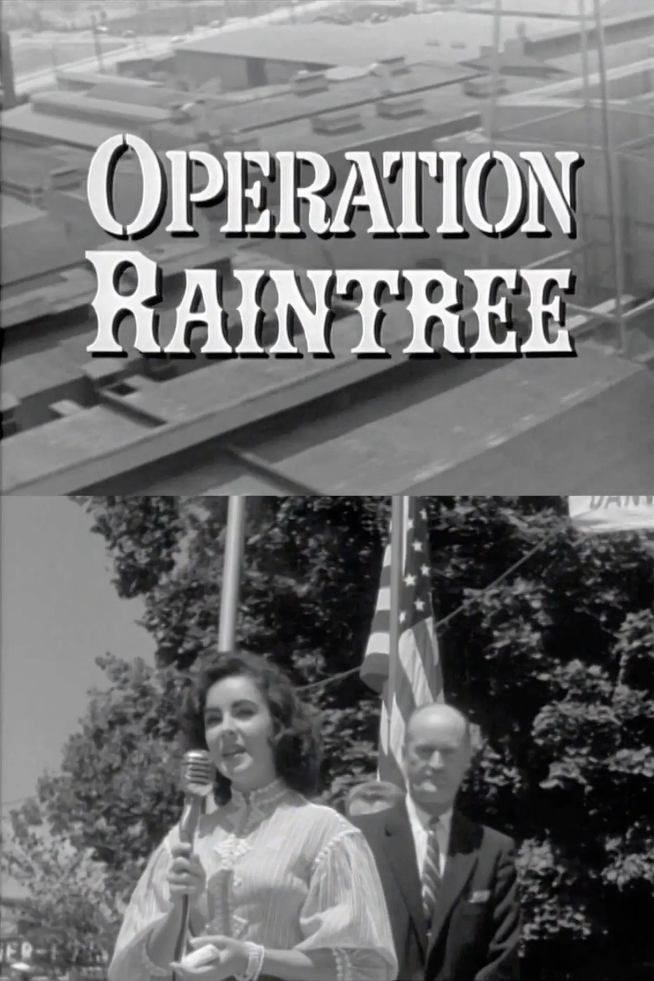Movie poster "Operation Raintree"