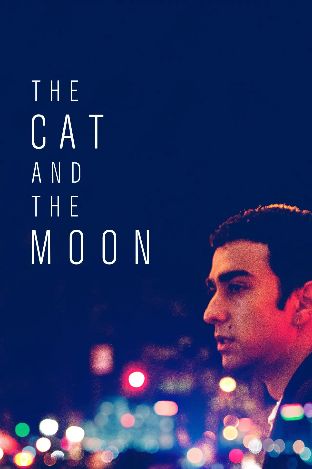 Movie poster "The Cat and the Moon"