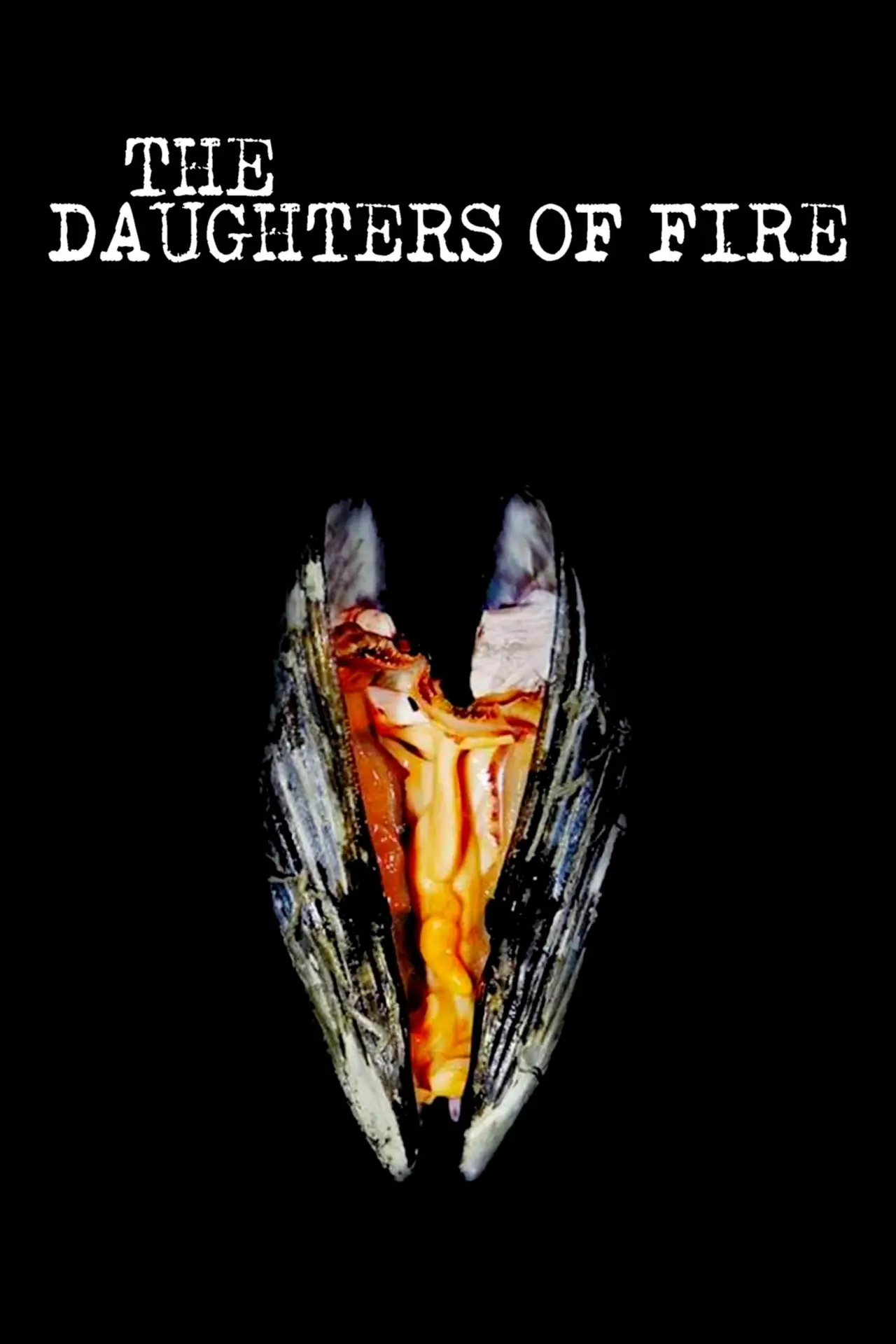 Movie poster "The Daughters of Fire"