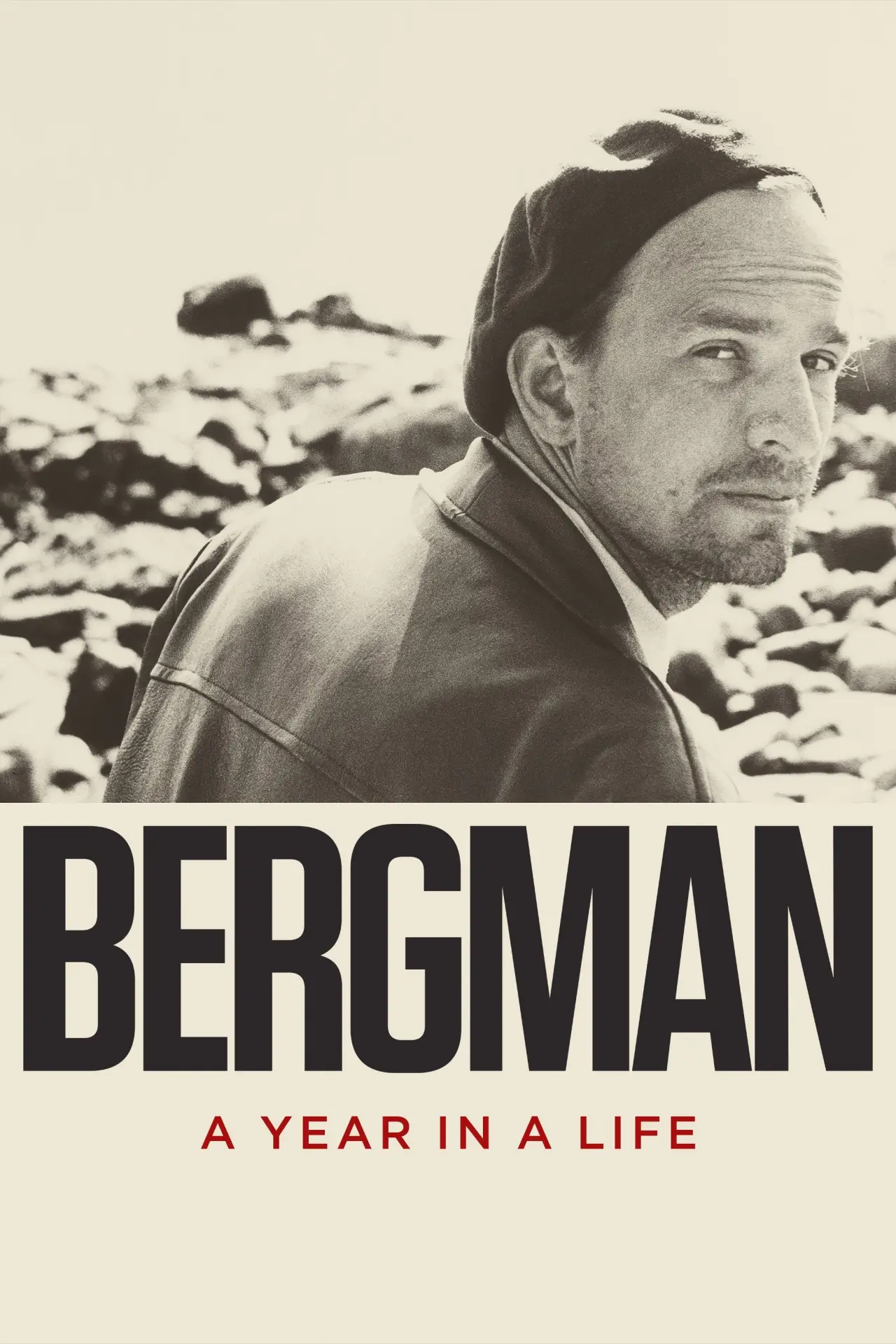 Movie poster "Bergman: A Year in a Life"