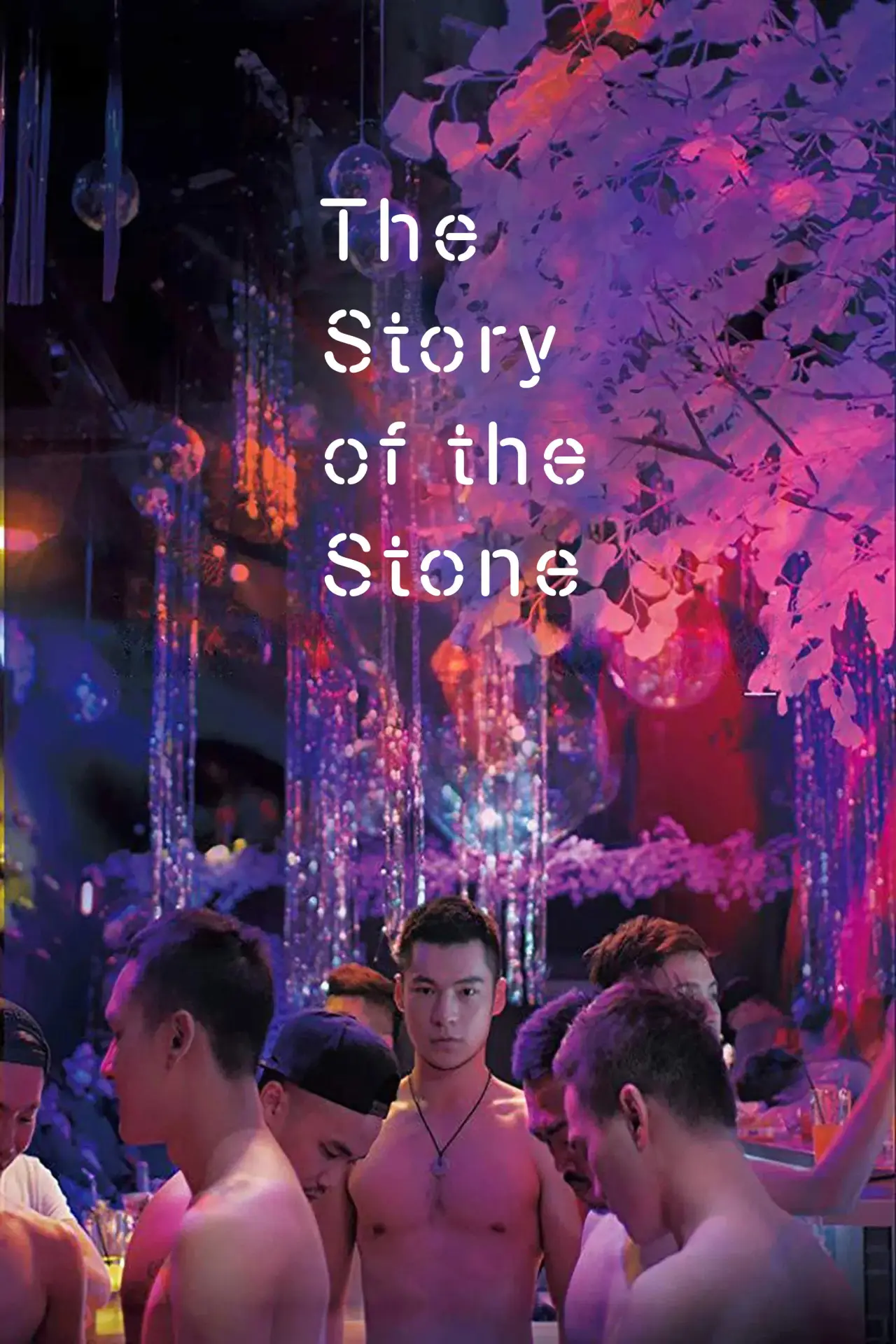 Movie poster "The Story of the Stone"