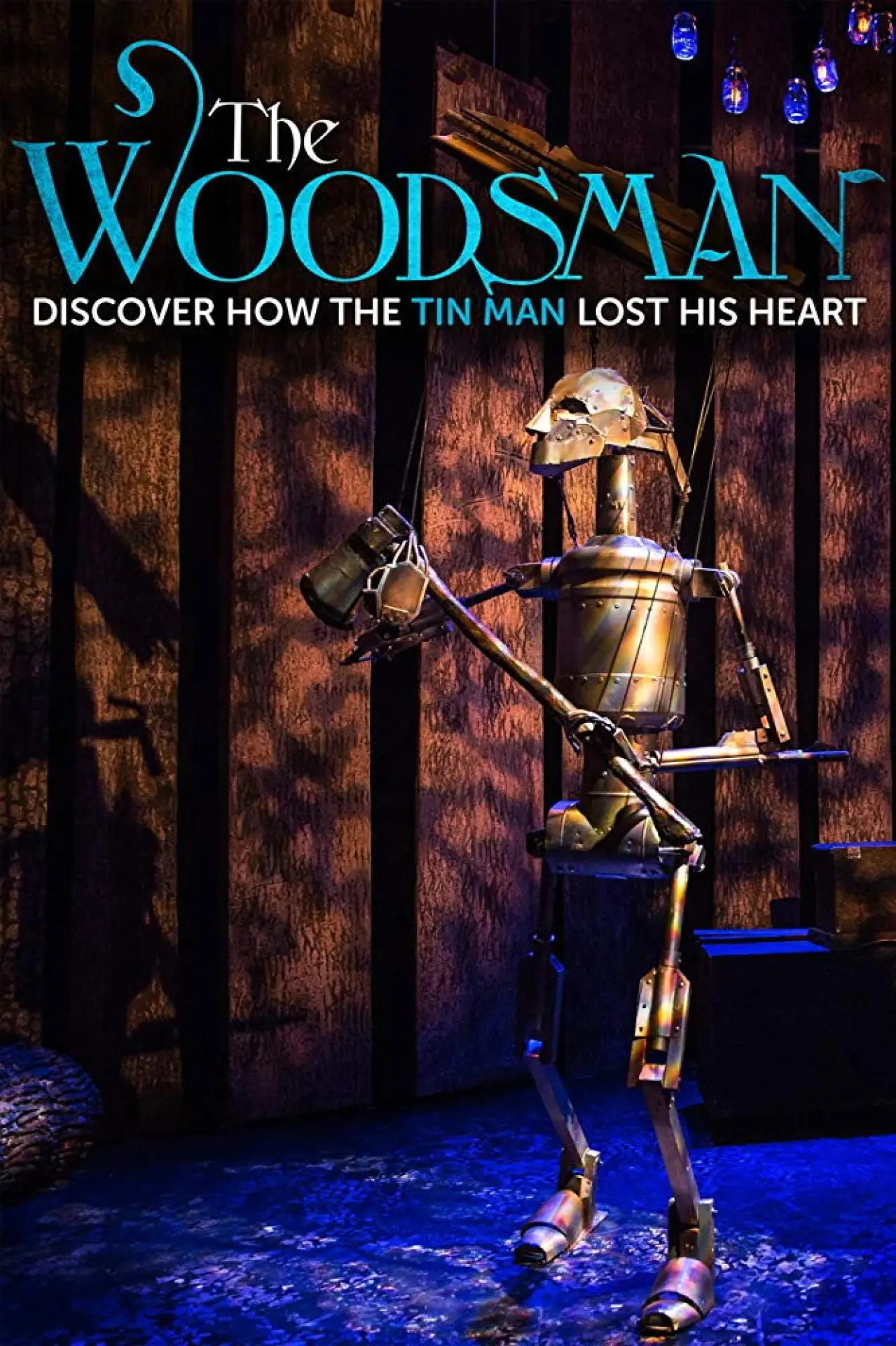 Movie poster "The Woodsman"